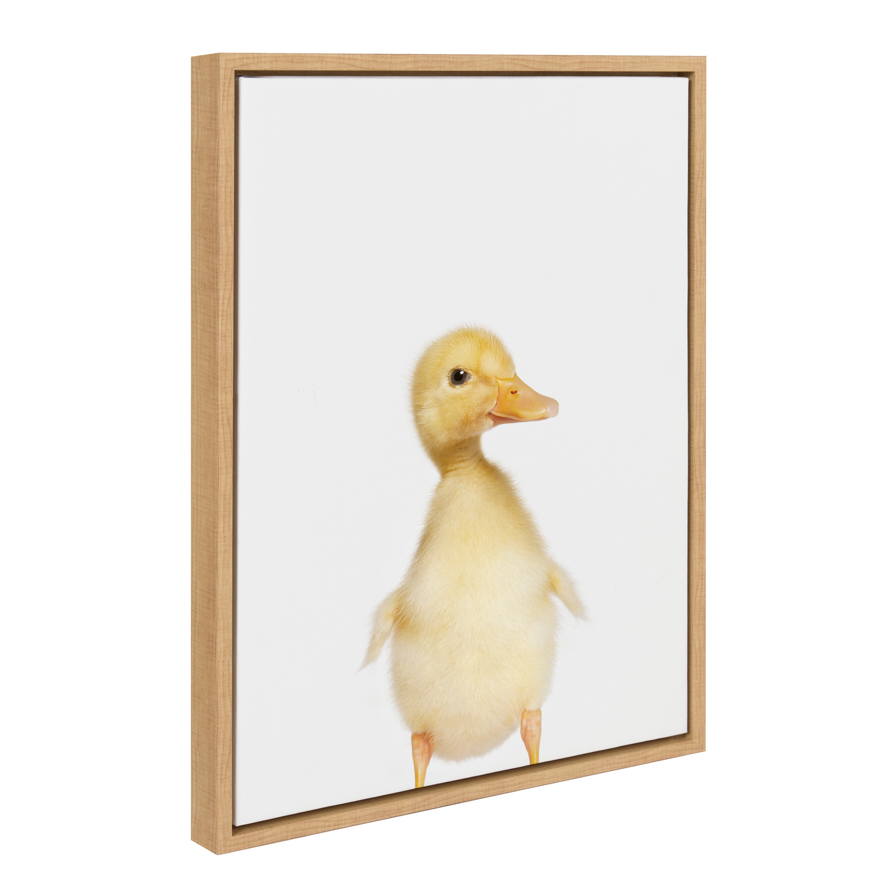 Sylvie Animal Studio Duck Framed Canvas by Amy Peterson Art Studio