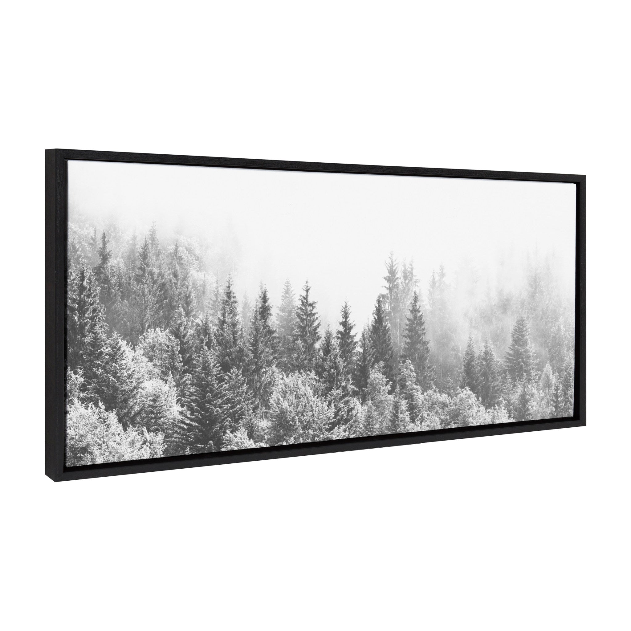 Sylvie Forest On A Foggy Day BW Framed Canvas by The Creative Bunch Studio