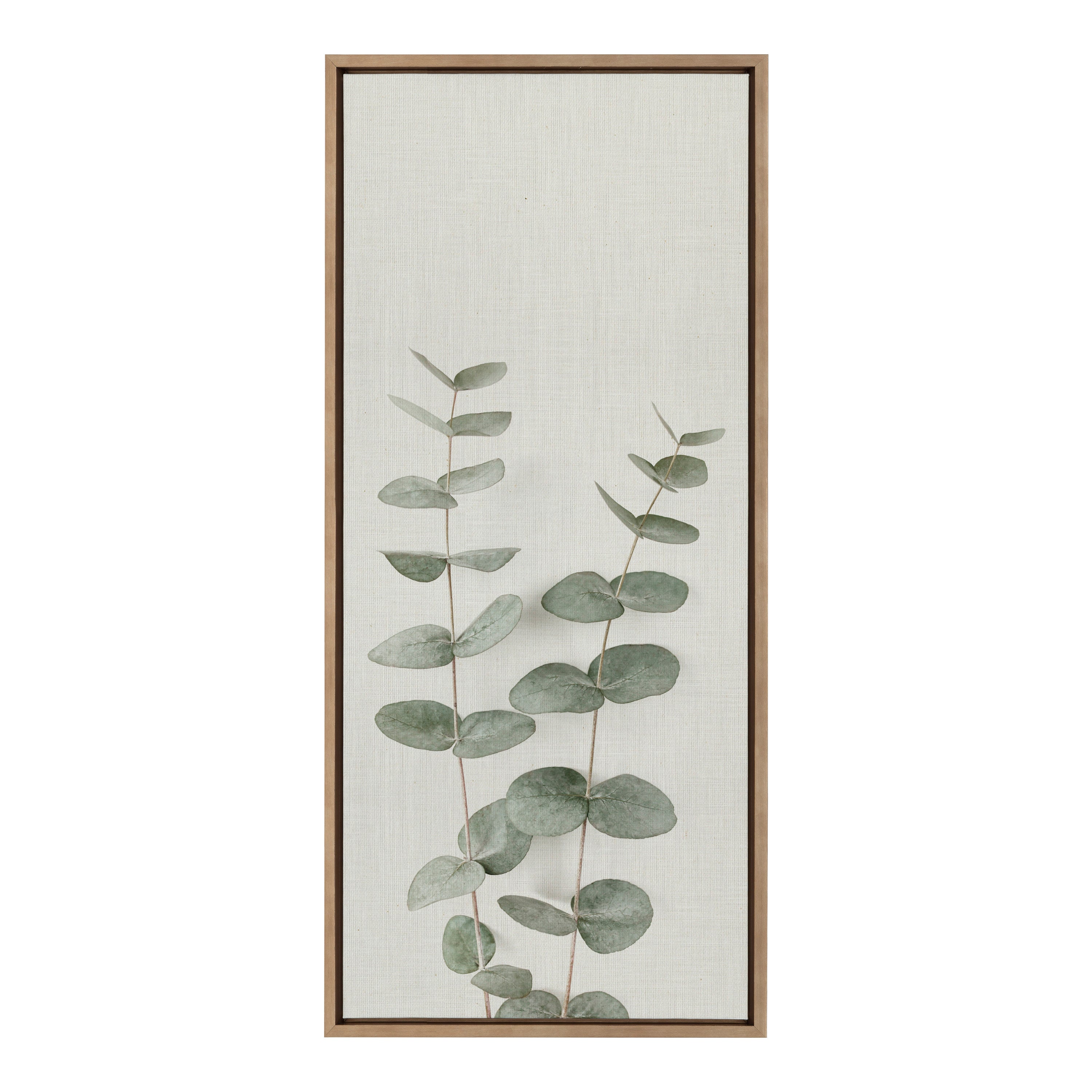 Sylvie Eucalyptus Botanical II Framed Canvas by The Creative Bunch Studio