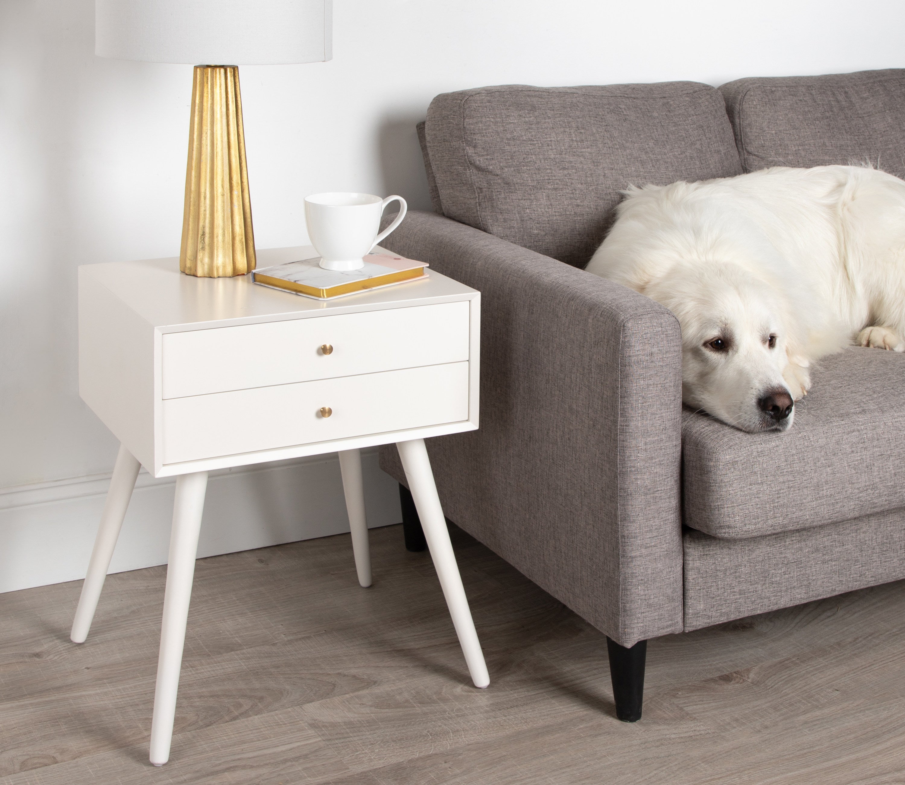 Finco Side Table with 2 Drawers