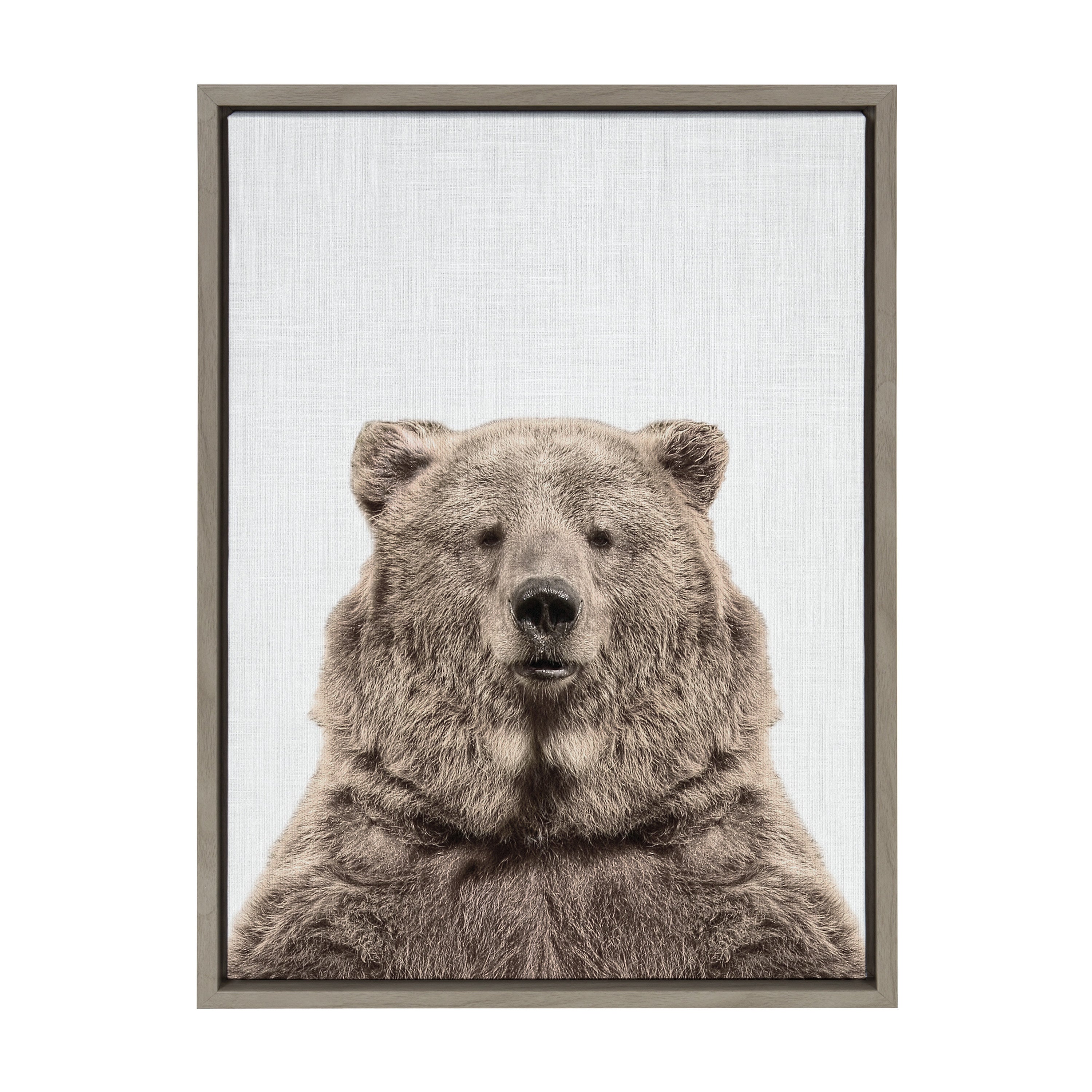 Sylvie Bear European Color Framed Canvas by Simon Te of Tai Prints