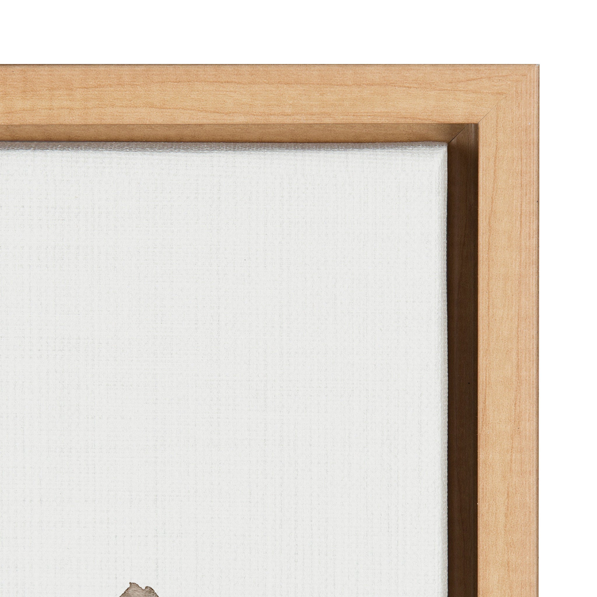 Sylvie Wild King Protea Framed Canvas by Sara Berrenson