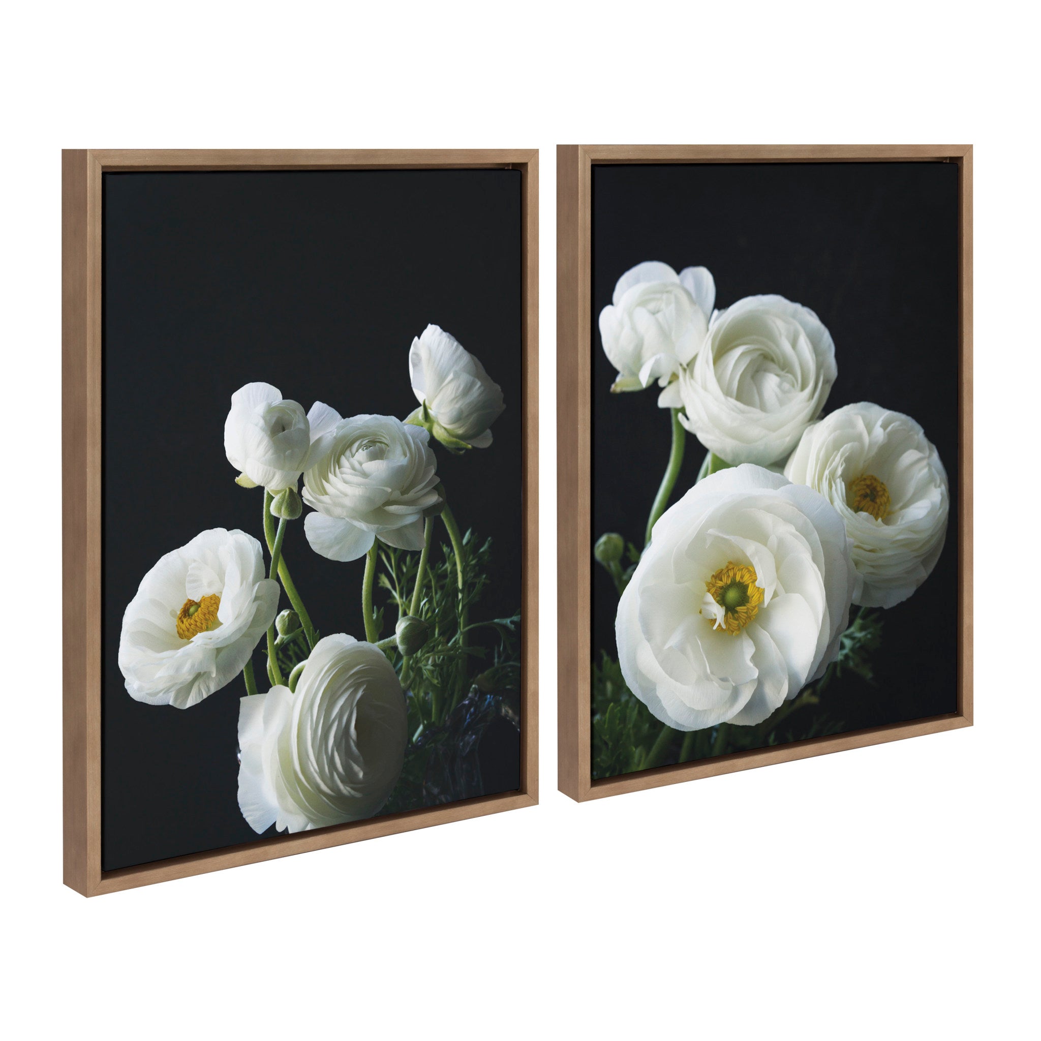 Sylvie White Ranunculus Framed Canvas Set by Emiko and Mark Franzen of F2Images