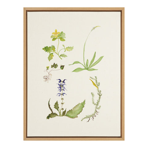 Sylvie Wild Flower Framed Canvas by Viola Kreczmer