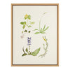 Sylvie Wild Flower Framed Canvas by Viola Kreczmer