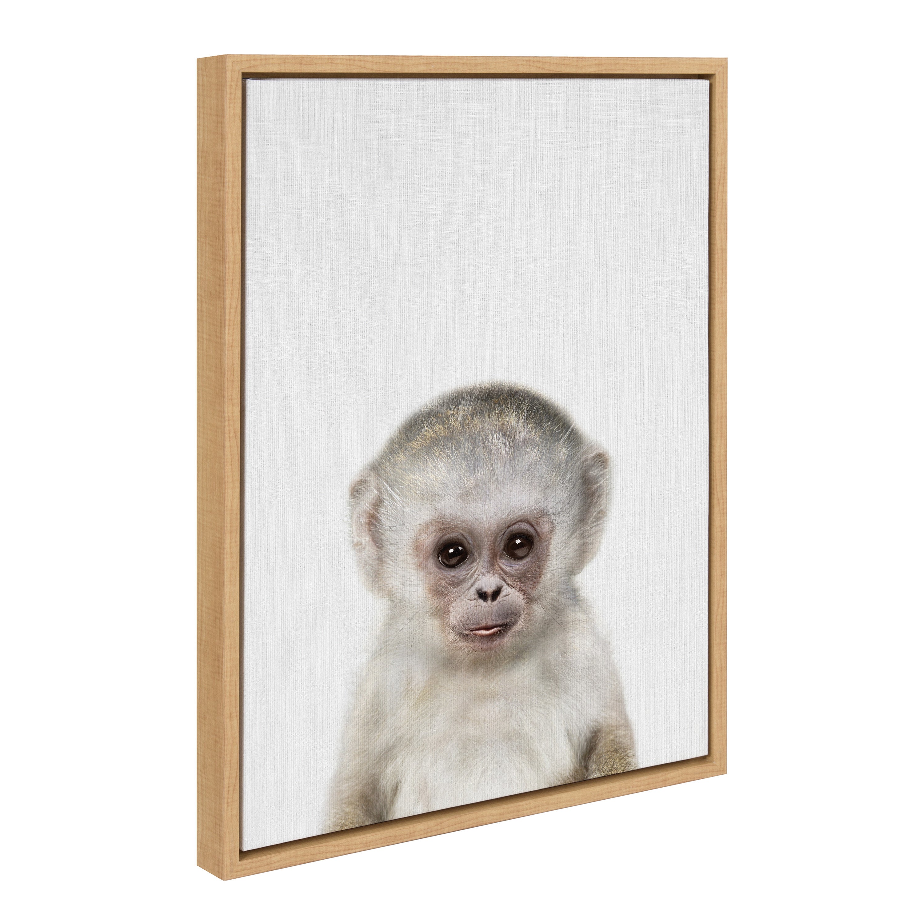Sylvie Monkey Color Framed Canvas by Simon Te of Tai Prints