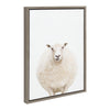 Sylvie Round Sheep Portrait Framed Canvas by Amy Peterson Art Studio