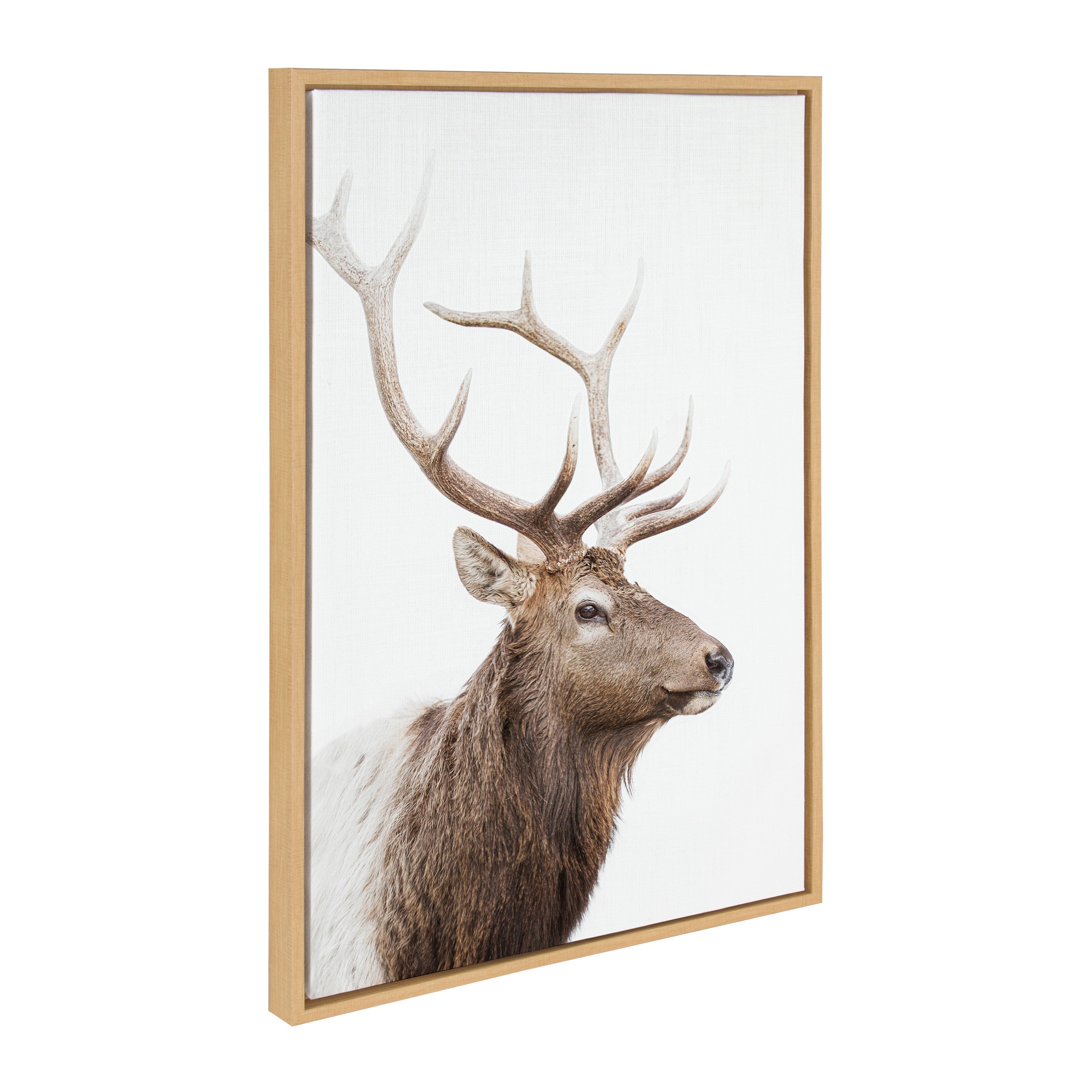 Sylvie Stag Profile Framed Canvas by Amy Peterson Art Studio