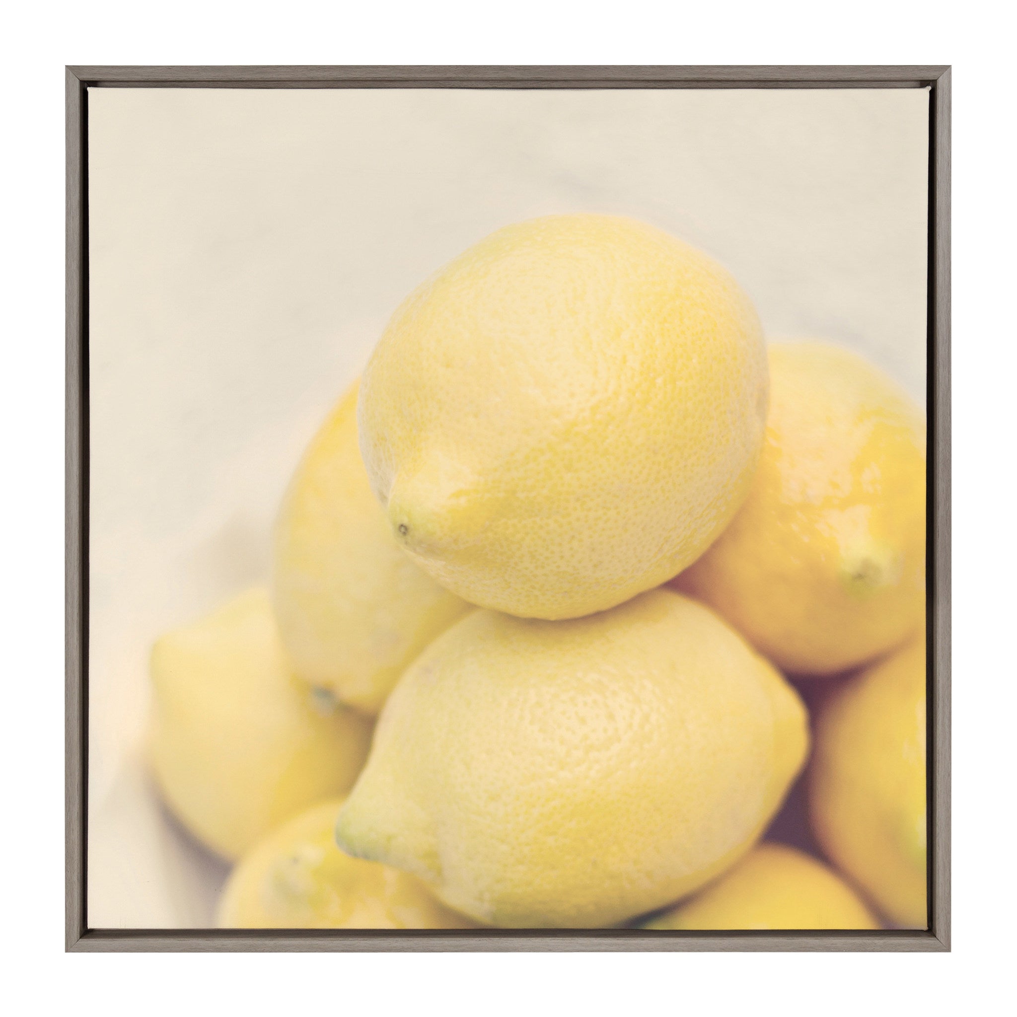 Sylvie Lemons Framed Canvas by Emiko and Mark Franzen of F2Images