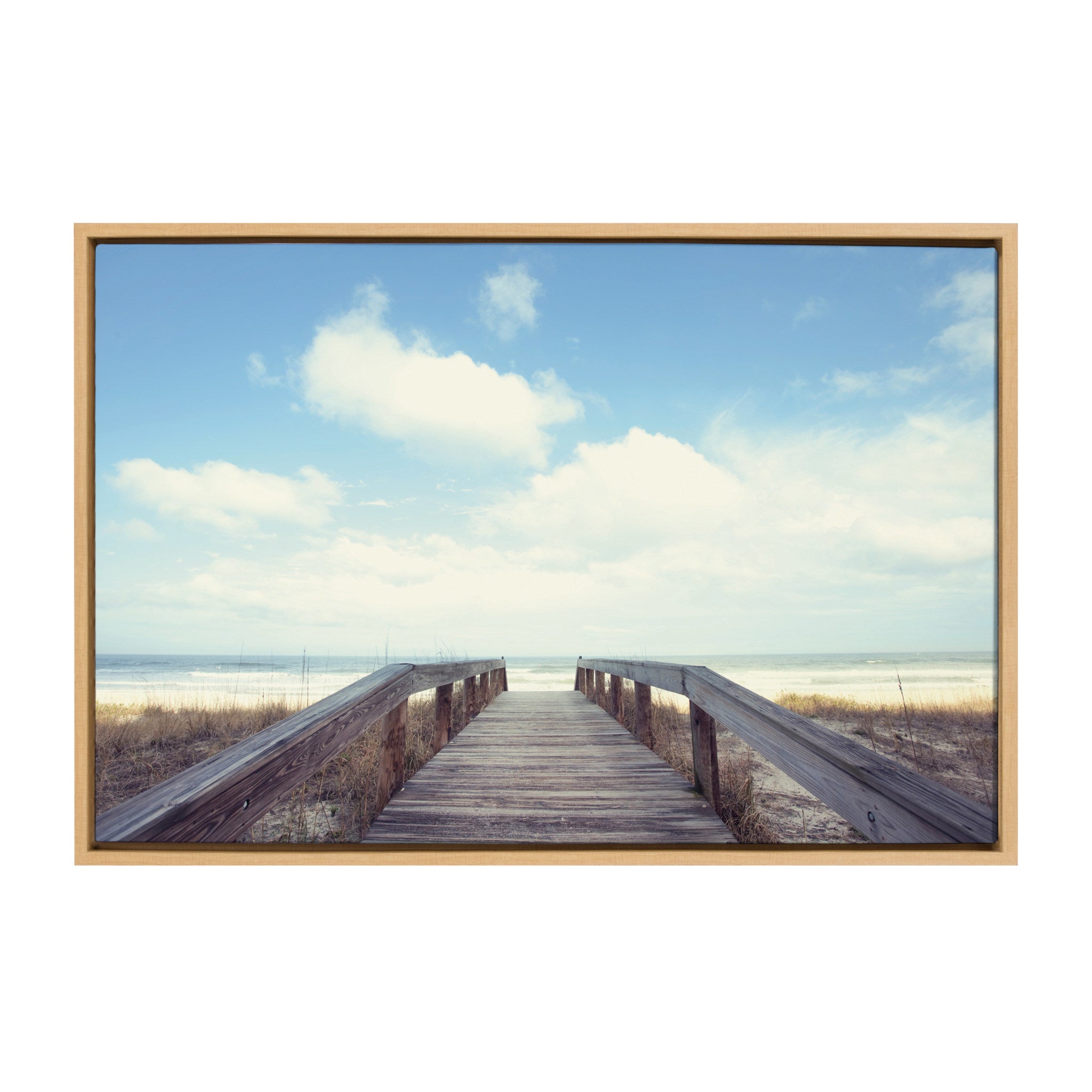 Framed Canvas, Coastal, Natural