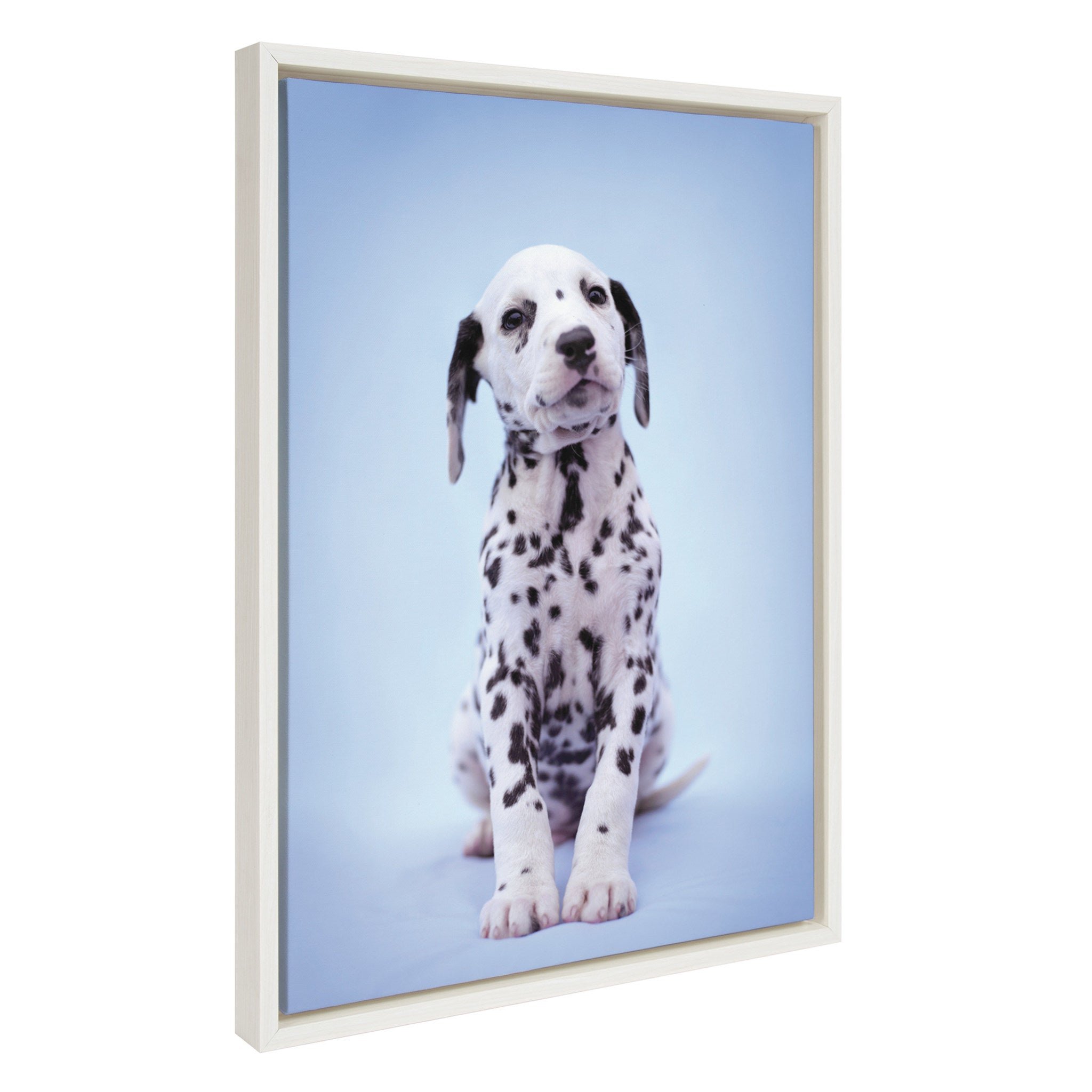 Sylvie Fig Dalmatian Dog Framed Canvas by Rachael Hale