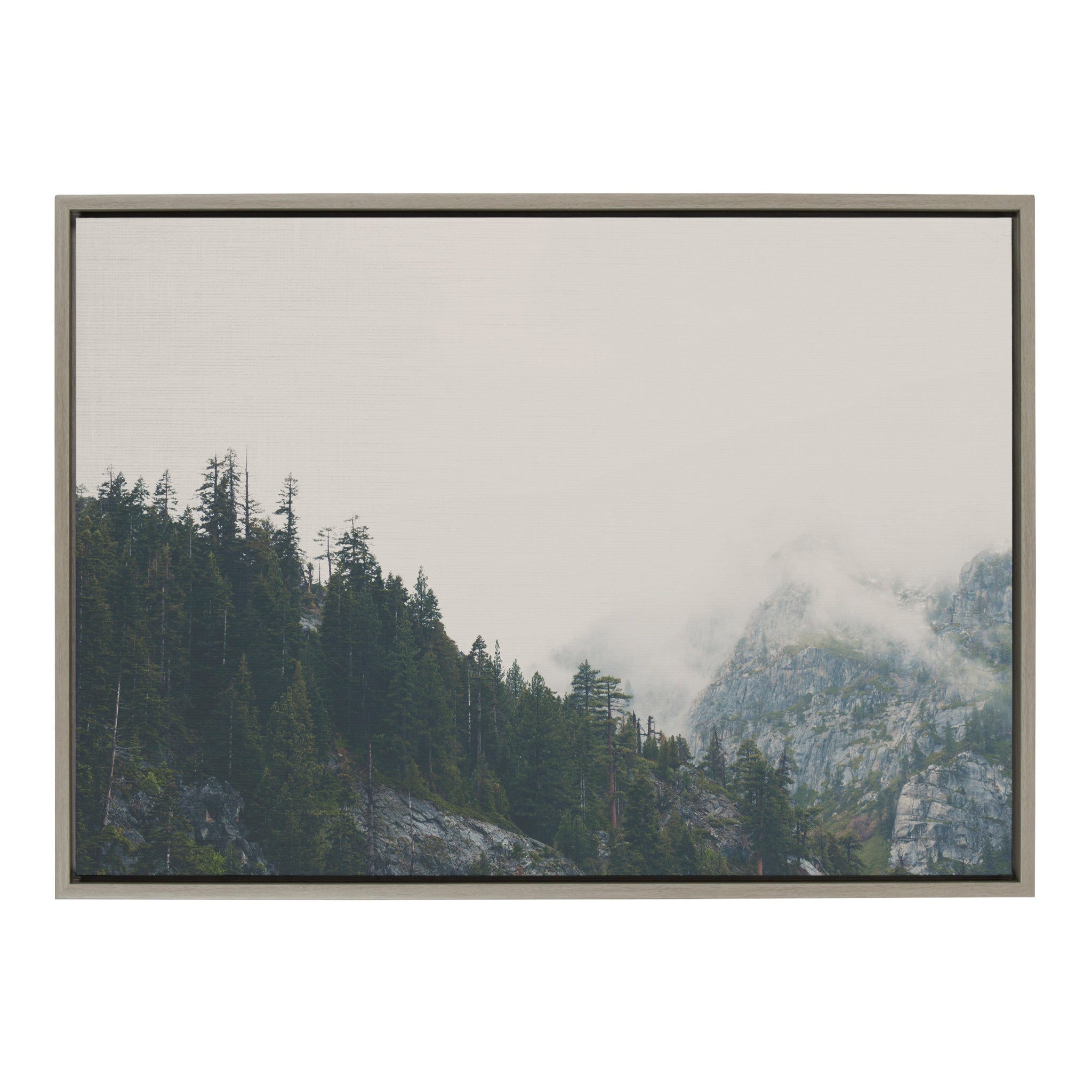 Sylvie The Power of Imagination Framed Canvas by Laura Evans