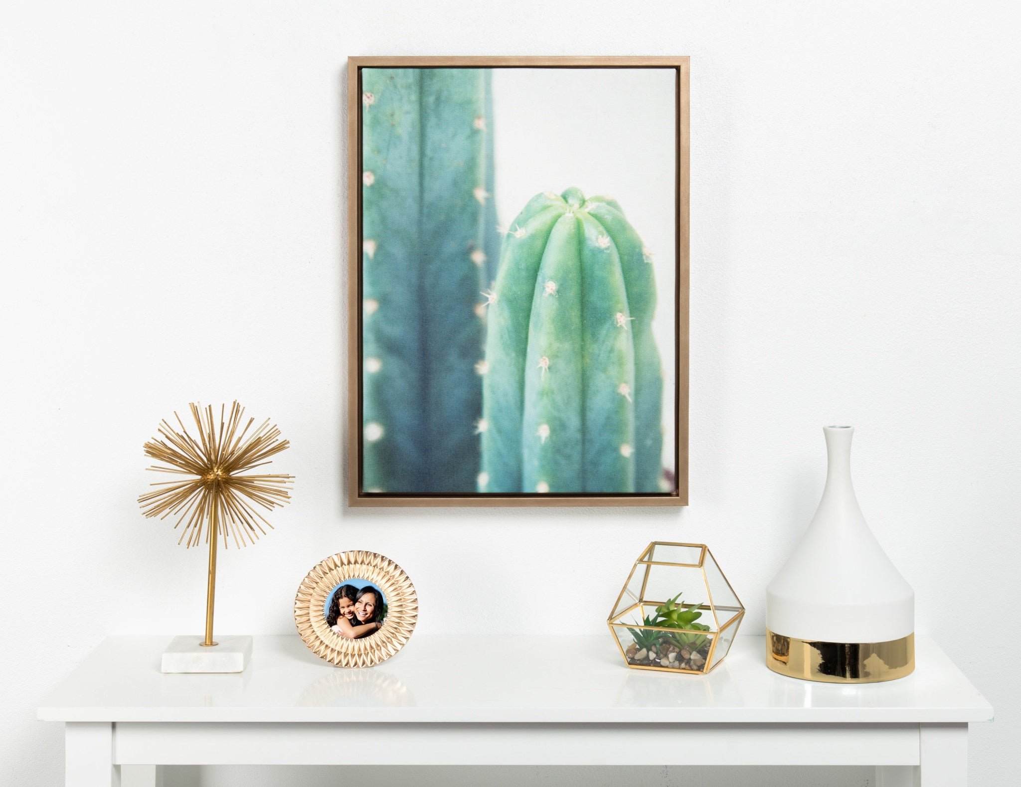 Sylvie Cactus Framed Canvas by F2 Images