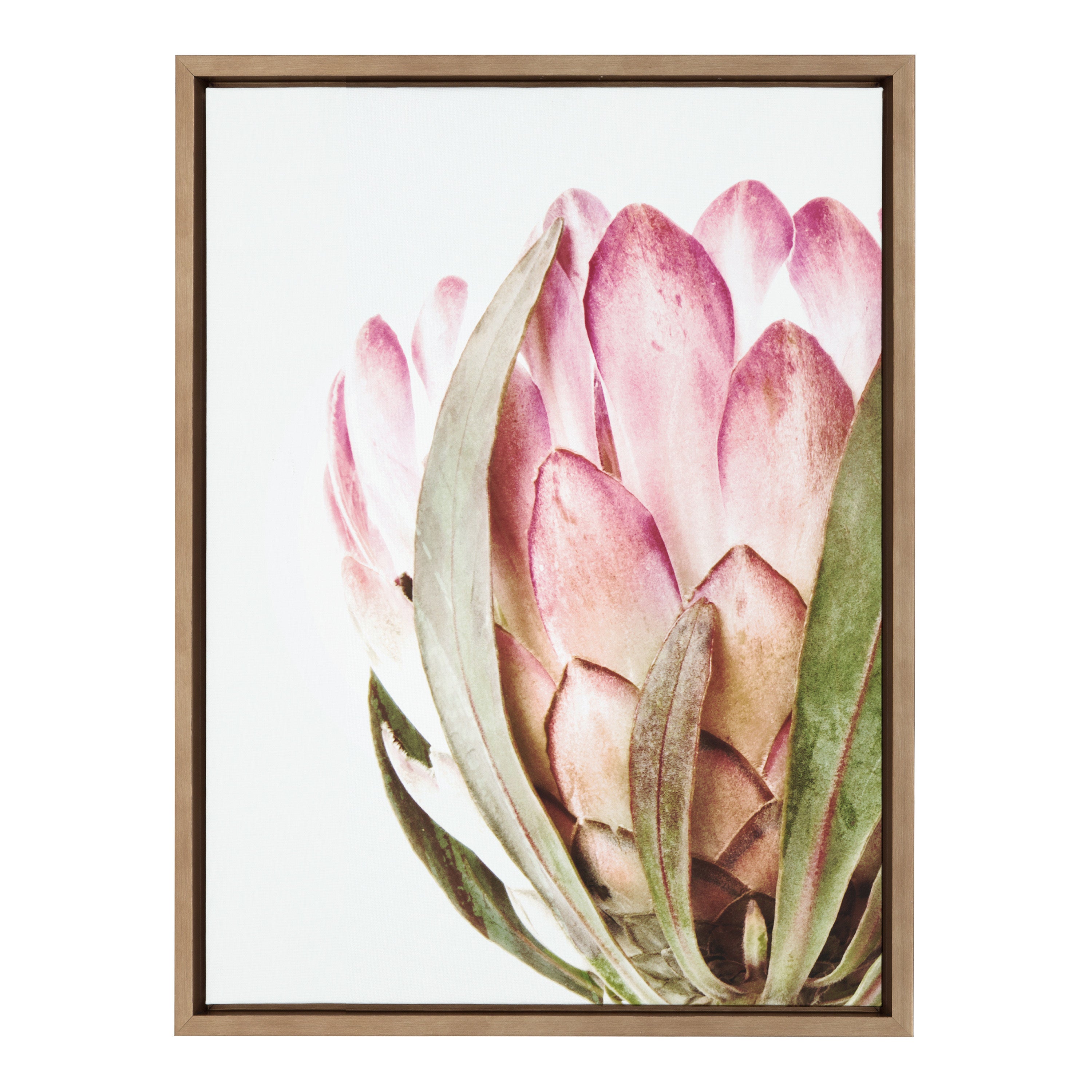 Kate and Laurel Sylvie Pink Protea Flower Framed Canvas Wall Art by Amy  Peterson Art Studio, 28 x 38 Gold, Oversized Minimalist Floral Art –  kateandlaurel