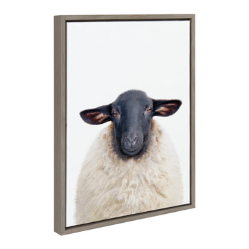 Sylvie Dorper Sheep Framed Canvas by Amy Peterson Art Studio