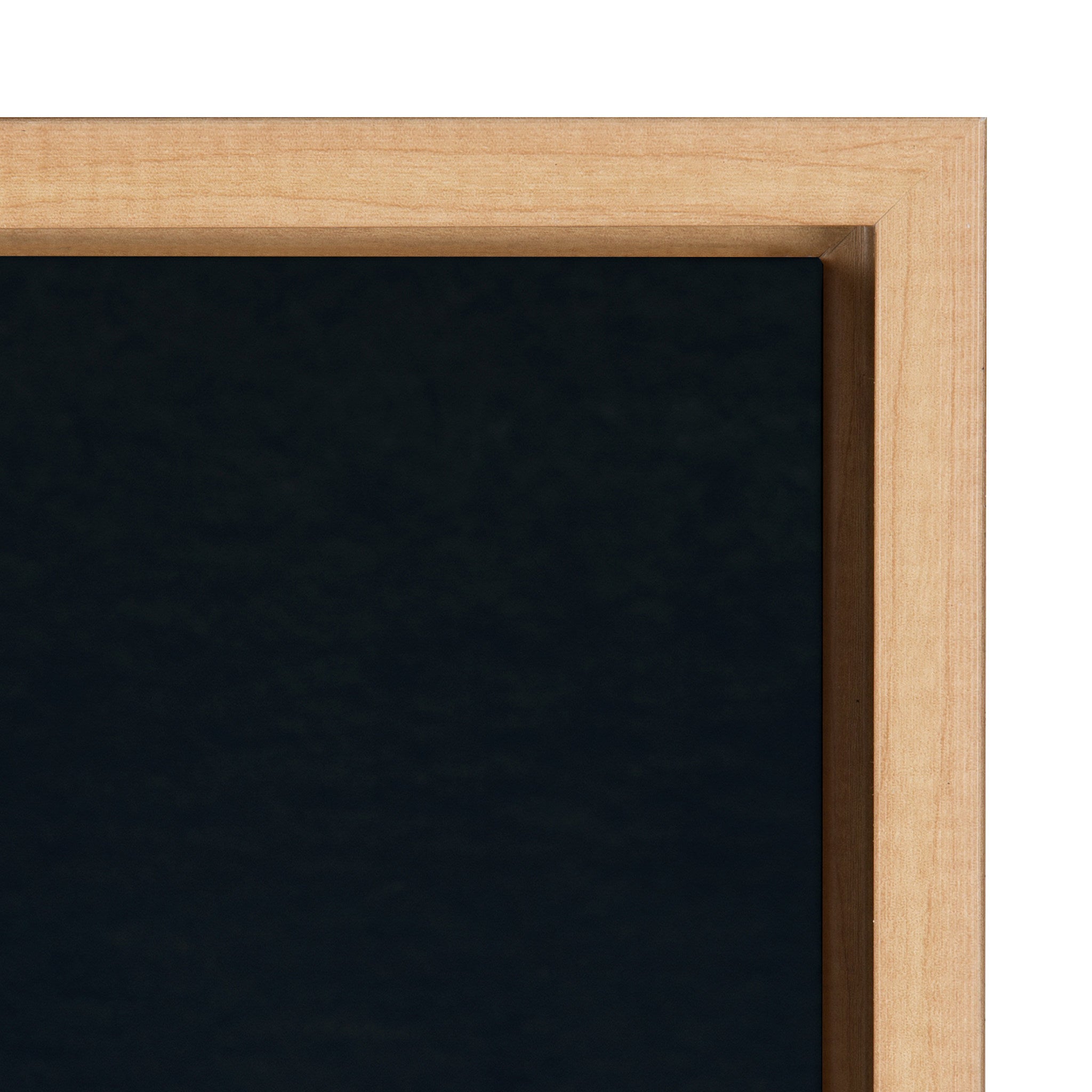 Sylvie Succulent 16 Framed Canvas by F2 Images