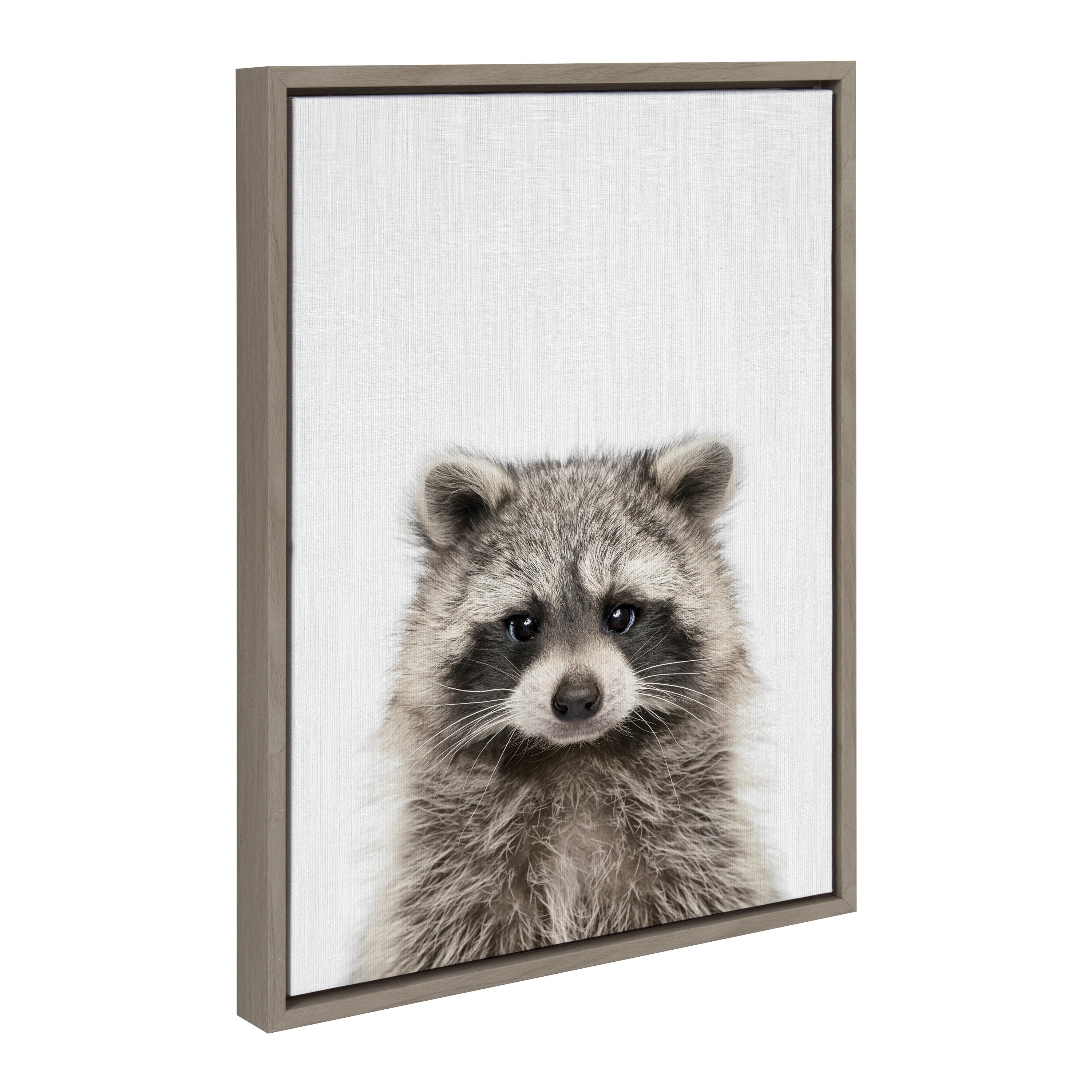 Sylvie Raccoon Color Framed Canvas by Simon Te of Tai Prints