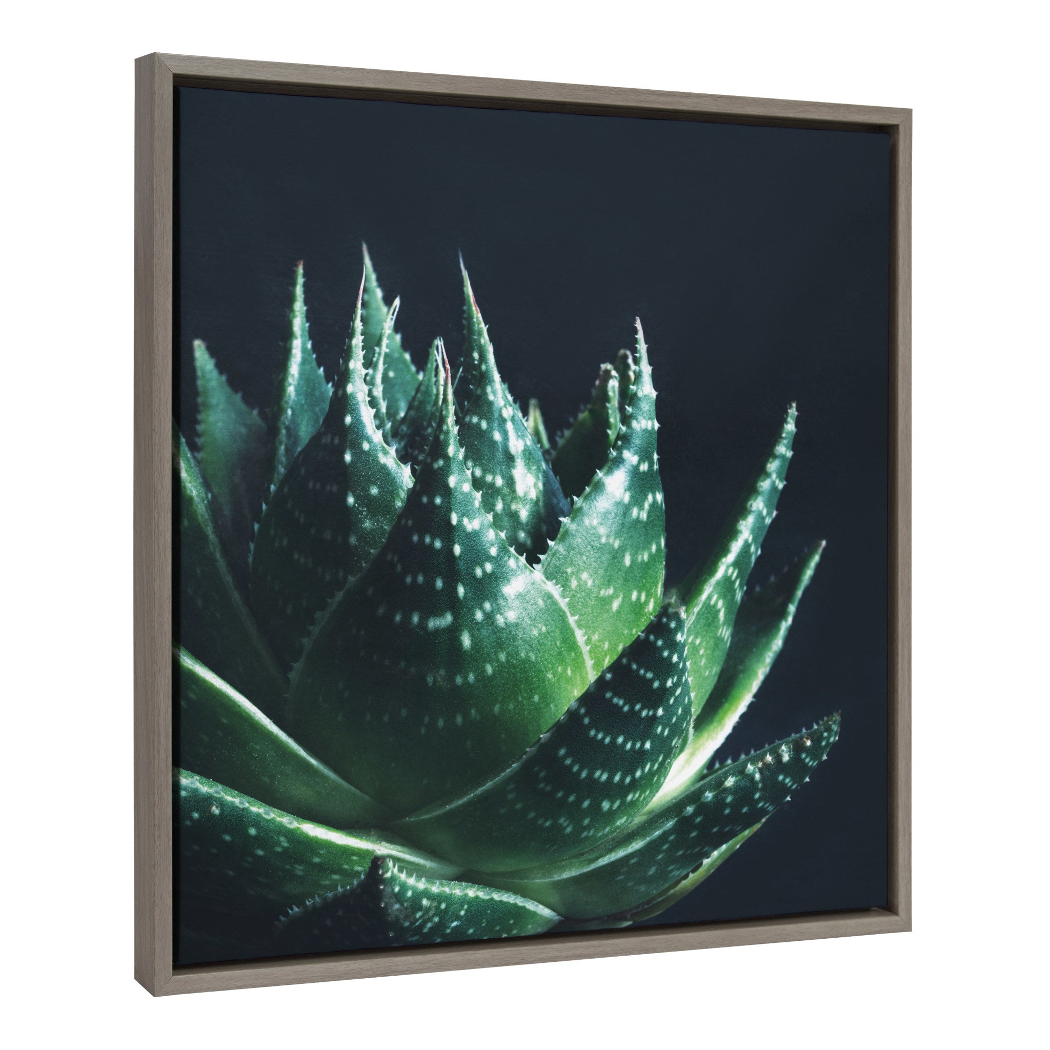 Sylvie Zen Framed Canvas by F2Images