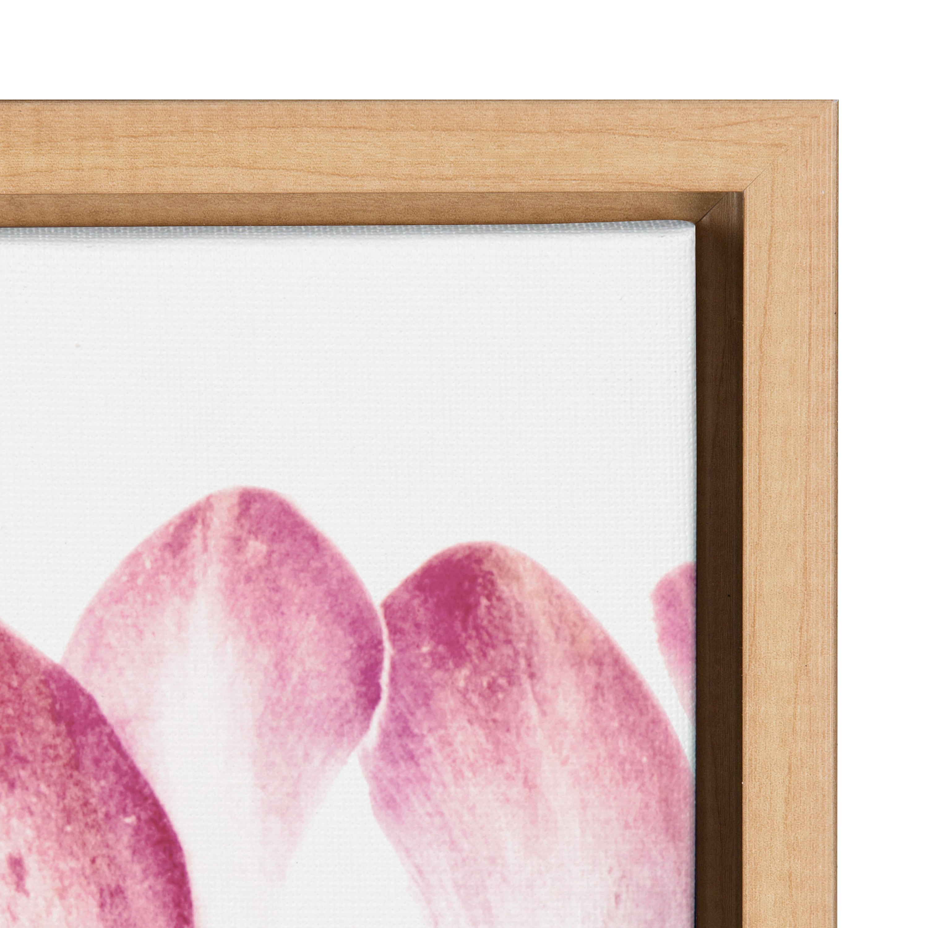 Sylvie Pink Protea Flower Framed Canvas by Amy Peterson