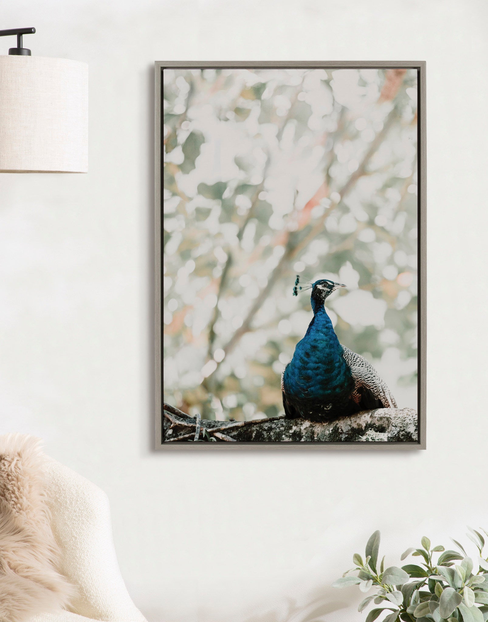 Sylvie Peacock Framed Canvas by Alicia Abla