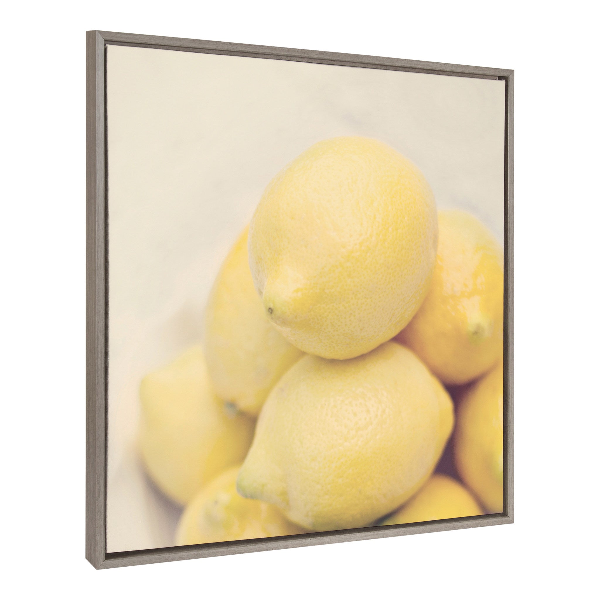 Sylvie Lemons Framed Canvas by Emiko and Mark Franzen of F2Images