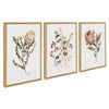 Sylvie Wild Banksia Wild Salvia and Wild King Protea Framed Canvas by Sara Berrenson