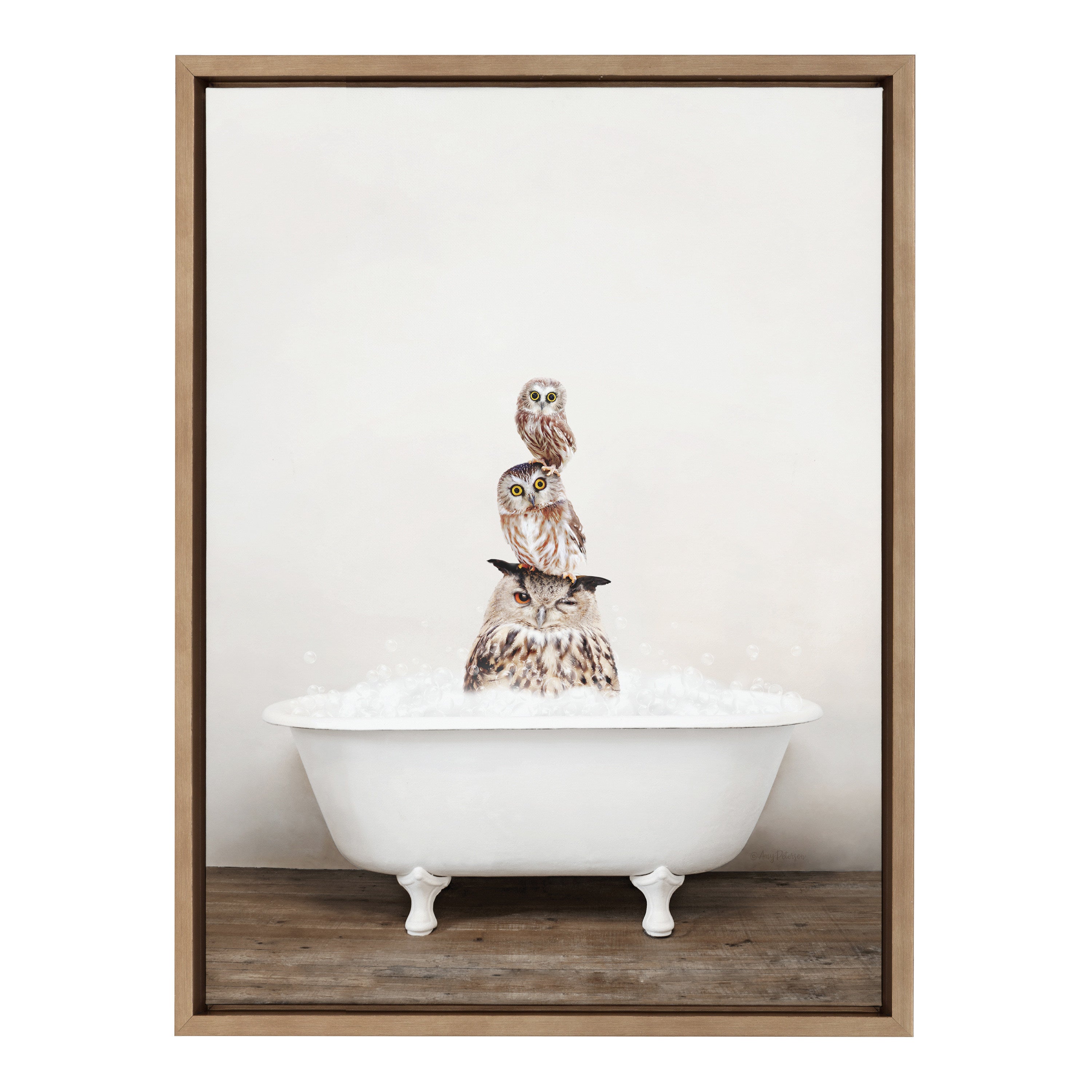 Sylvie Stacked Owls in Rustic Bath Framed Canvas by Amy Peterson Art Studio