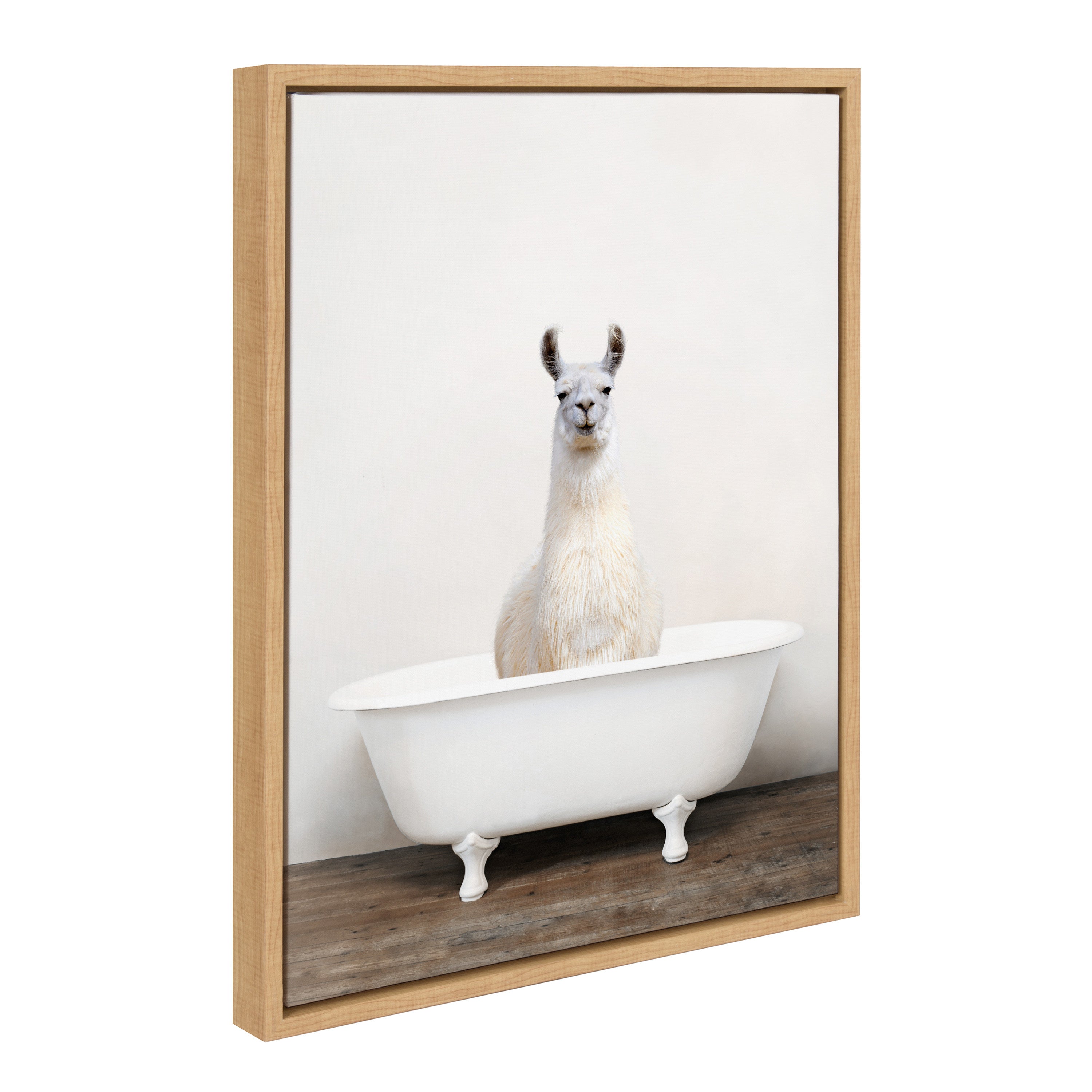 Sylvie Alpaca in the Tub Color Framed Canvas by Amy Peterson Art Studio