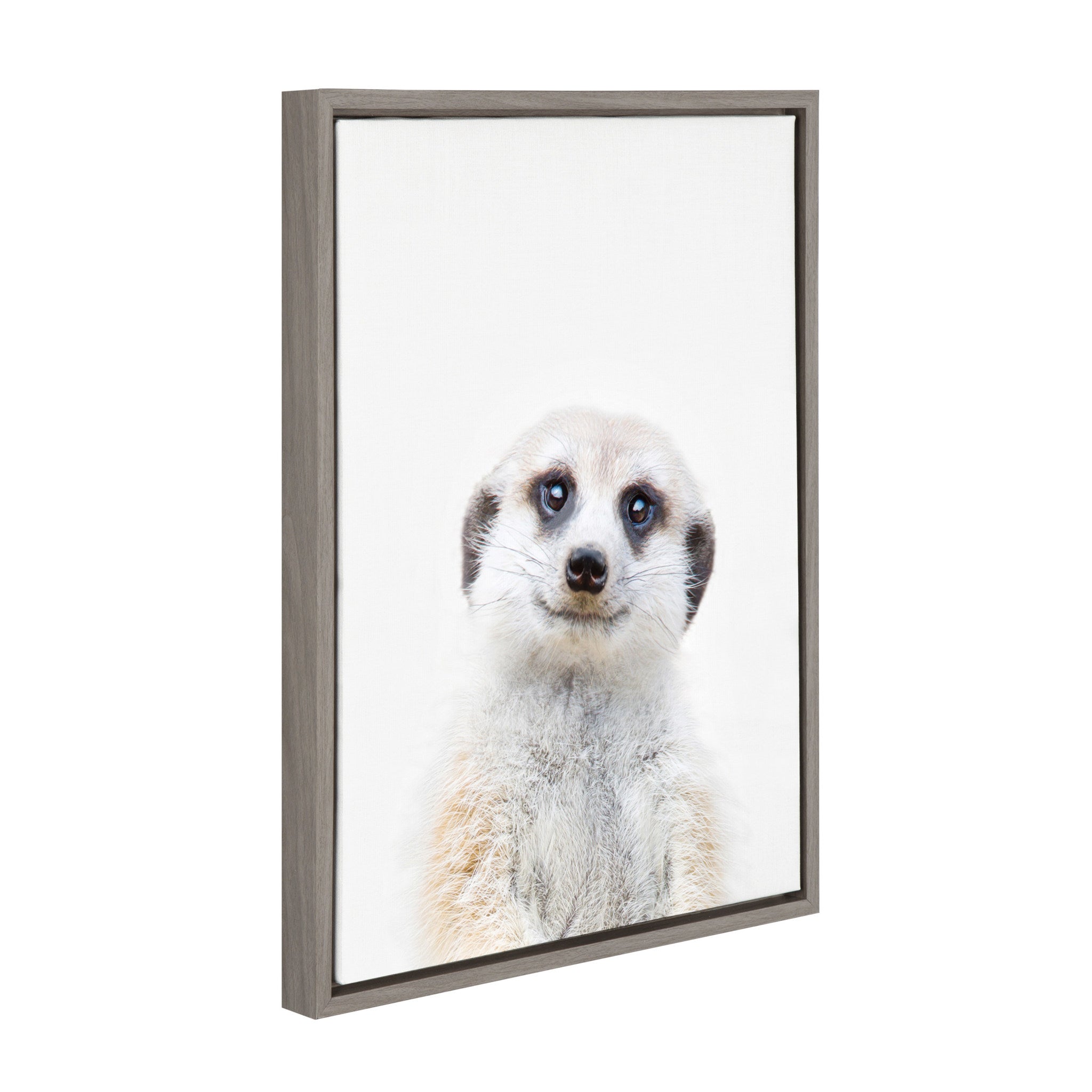 Sylvie Meerkat Framed Canvas by Amy Peterson
