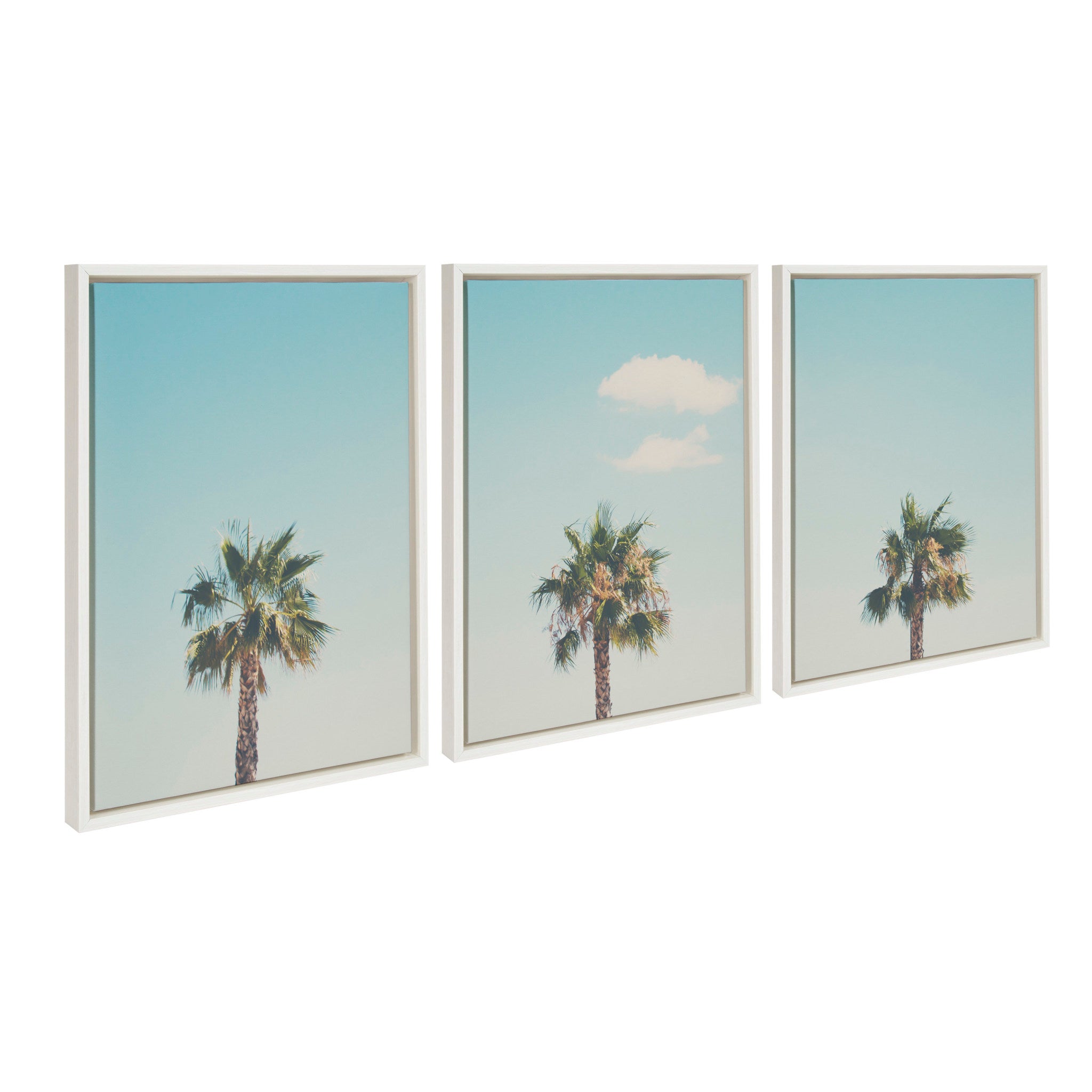 Sylvie Trio of Palm Trees 1, 2 and 3 Framed Canvas by Laura Evans