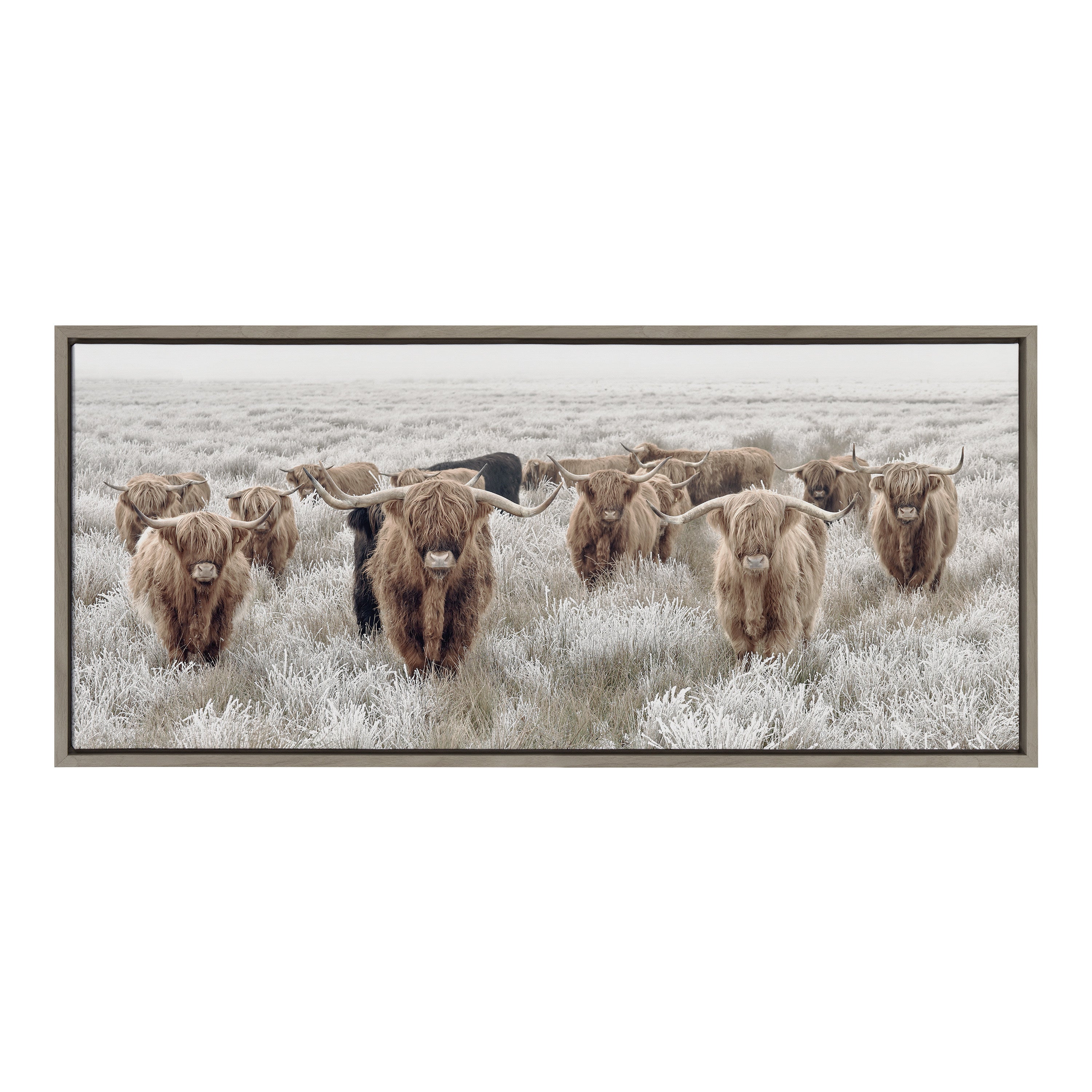 Sylvie Herd of Highland Cows Color Framed Canvas by The Creative Bunch Studio
