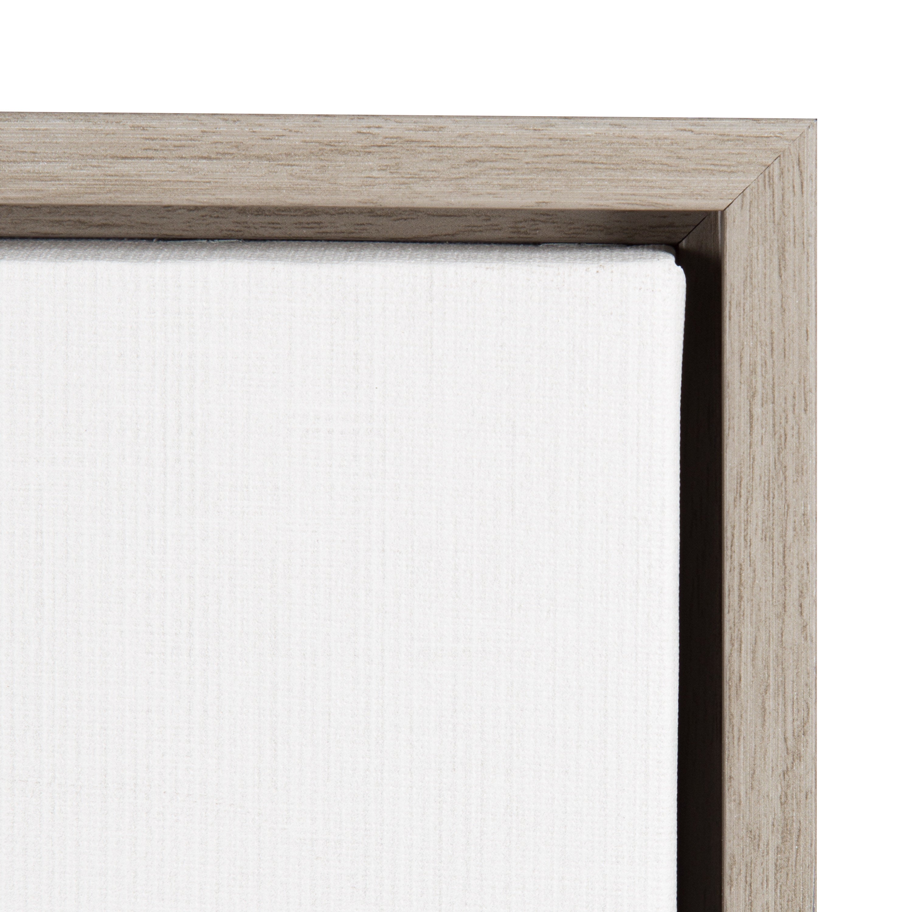 Sylvie Raccoon Framed Canvas by Simon Te Tai