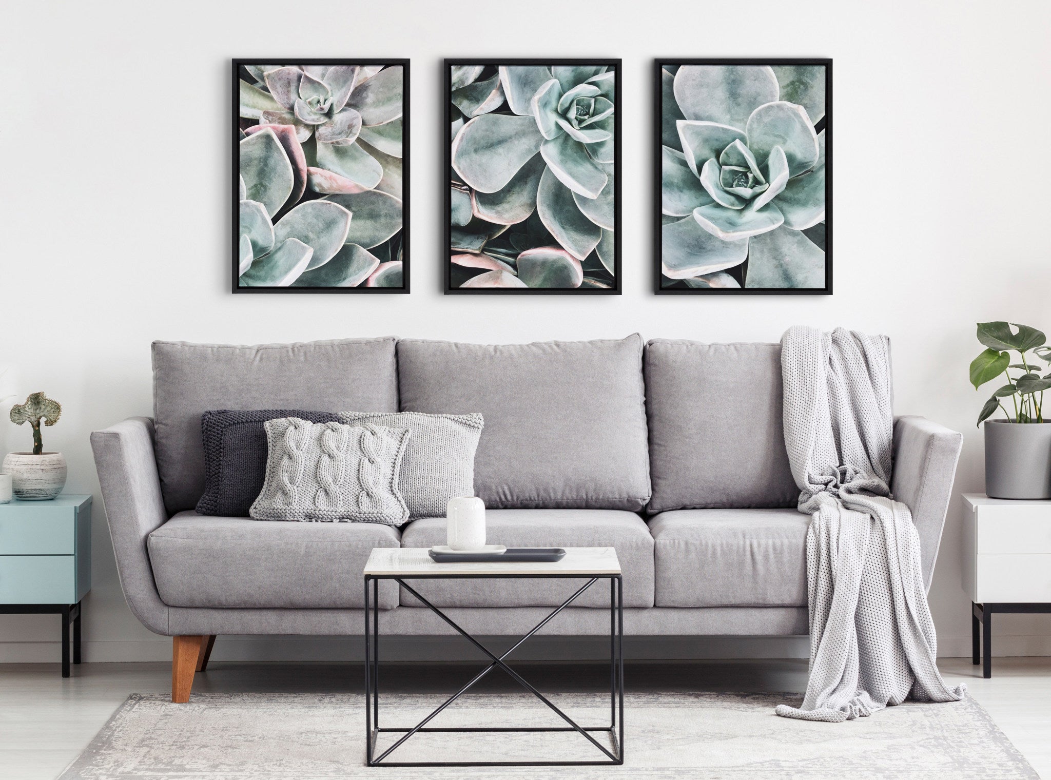 Sylvie Botanical Succulent Plants Framed Canvas Set by The Creative Bunch Studio