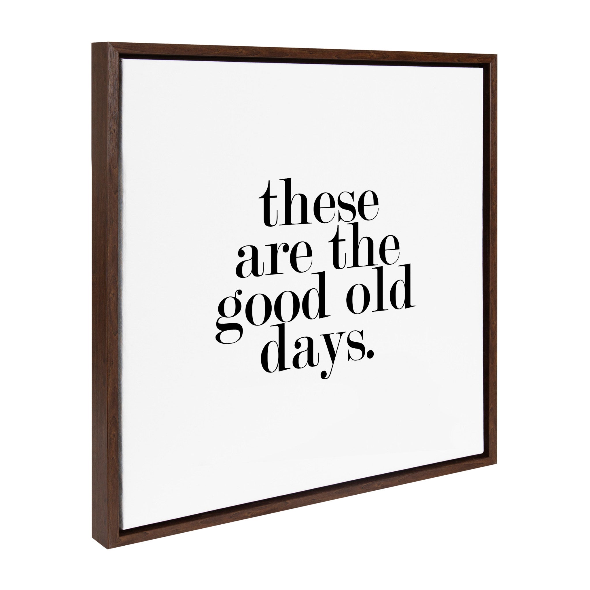 Sylvie Good Old Days Framed Canvas by Maggie Price of Hunt and Gather Goods