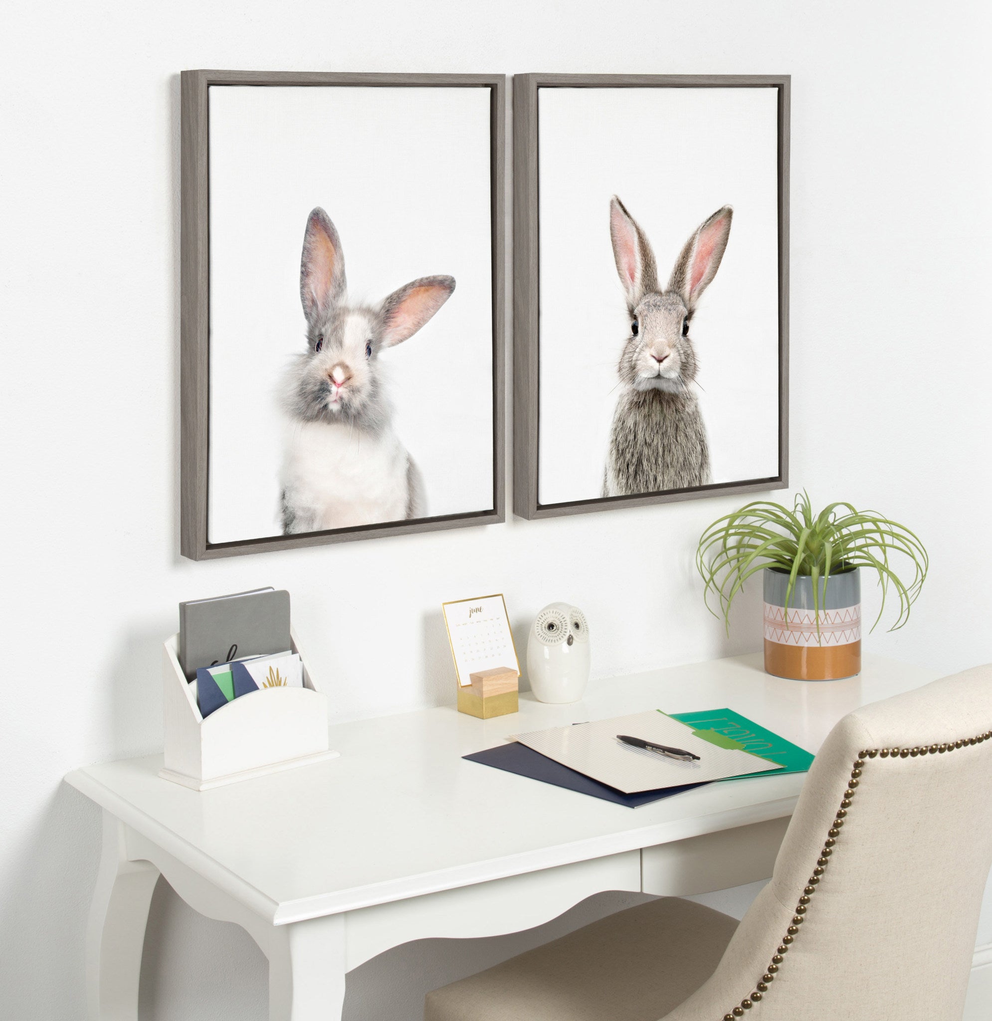 Sylvie Animal Studio Cute Male Rabbit Framed Canvas by Amy Peterson Art Studio