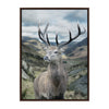 Sylvie Rosebud Deer Portrait with Linen Texture Framed Canvas by The Creative Bunch Studio