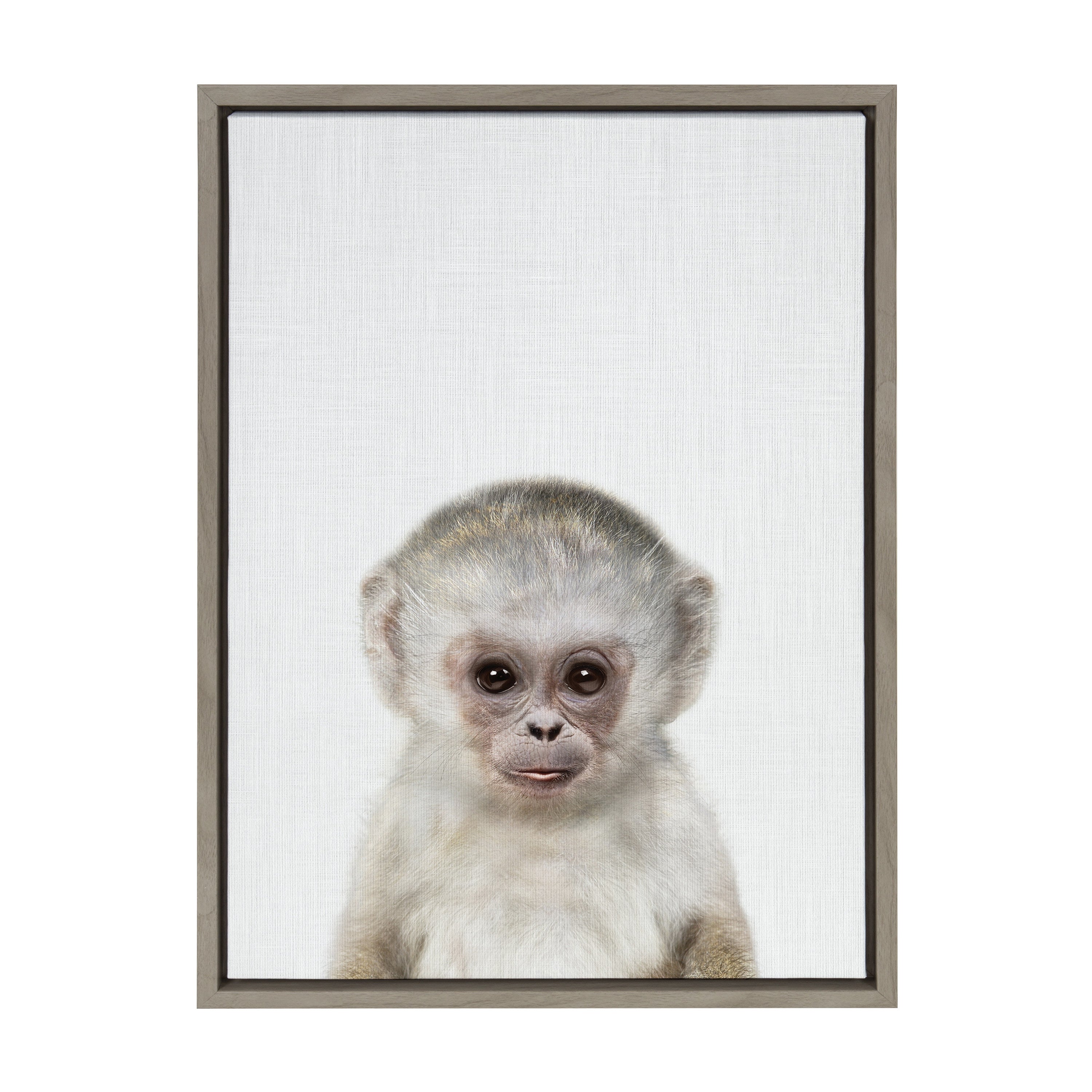 Sylvie Monkey Color Framed Canvas by Simon Te of Tai Prints