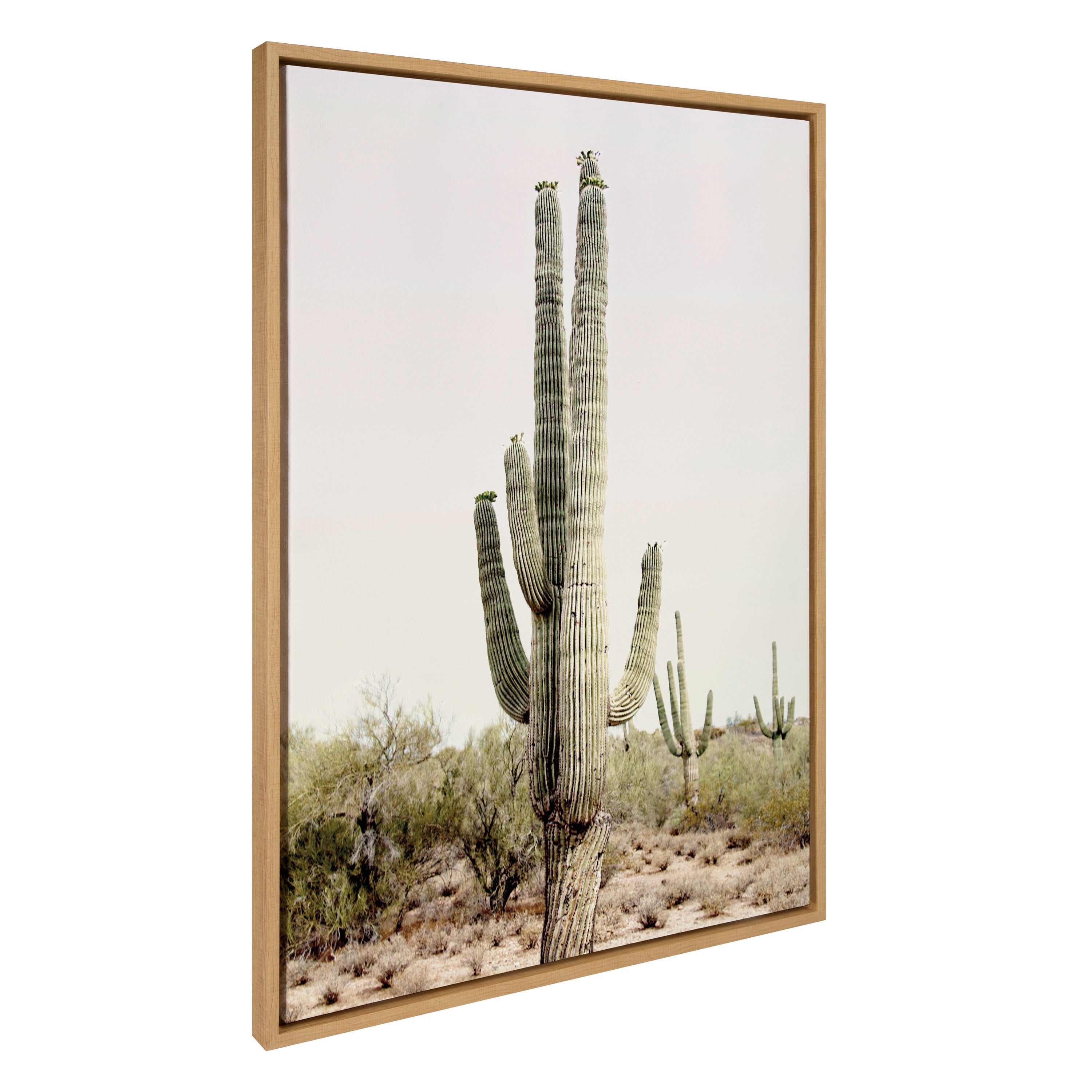 Sylvie Sunrise Cactus Framed Canvas by Amy Peterson Art Studio