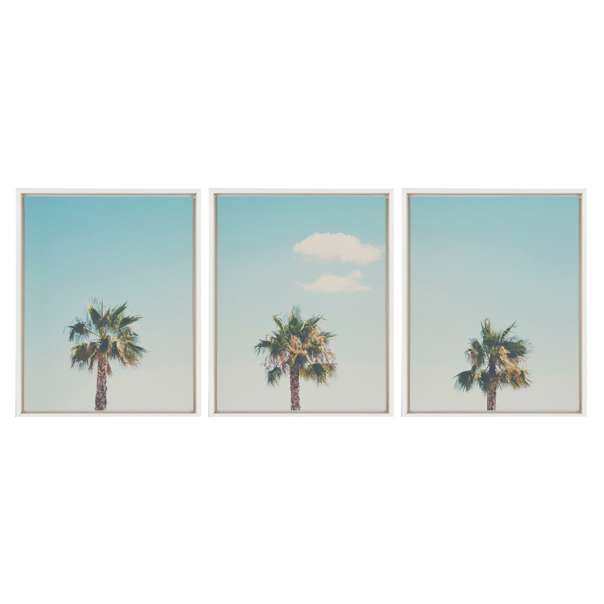 Sylvie Trio of Palm Trees 1, 2 and 3 Framed Canvas by Laura Evans