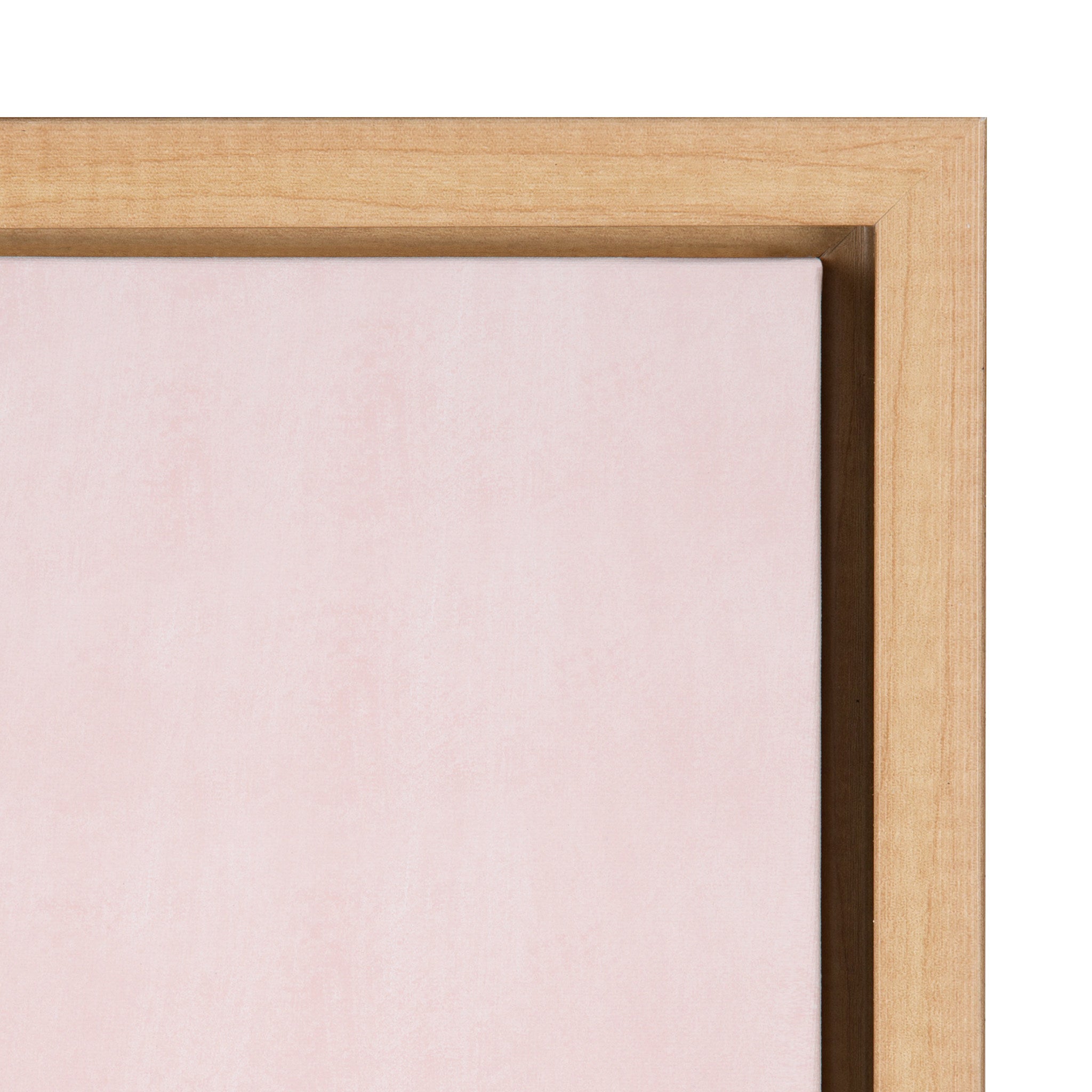 Sylvie Shade Squad Framed Canvas By Kendra Dandy