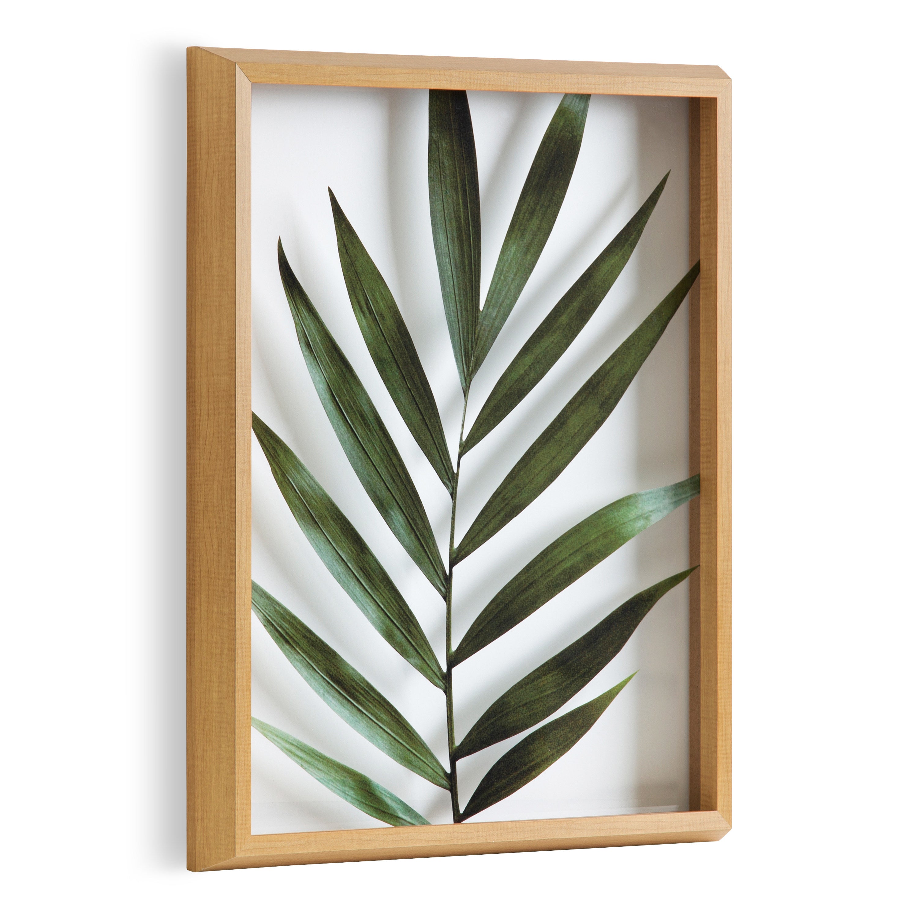 Blake Botanical 5F Framed Printed Glass by Amy Peterson