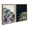 Sylvie Succulent 5 and Succulent 8 Framed Canvas by Emiko and Mark Franzen of F2Images
