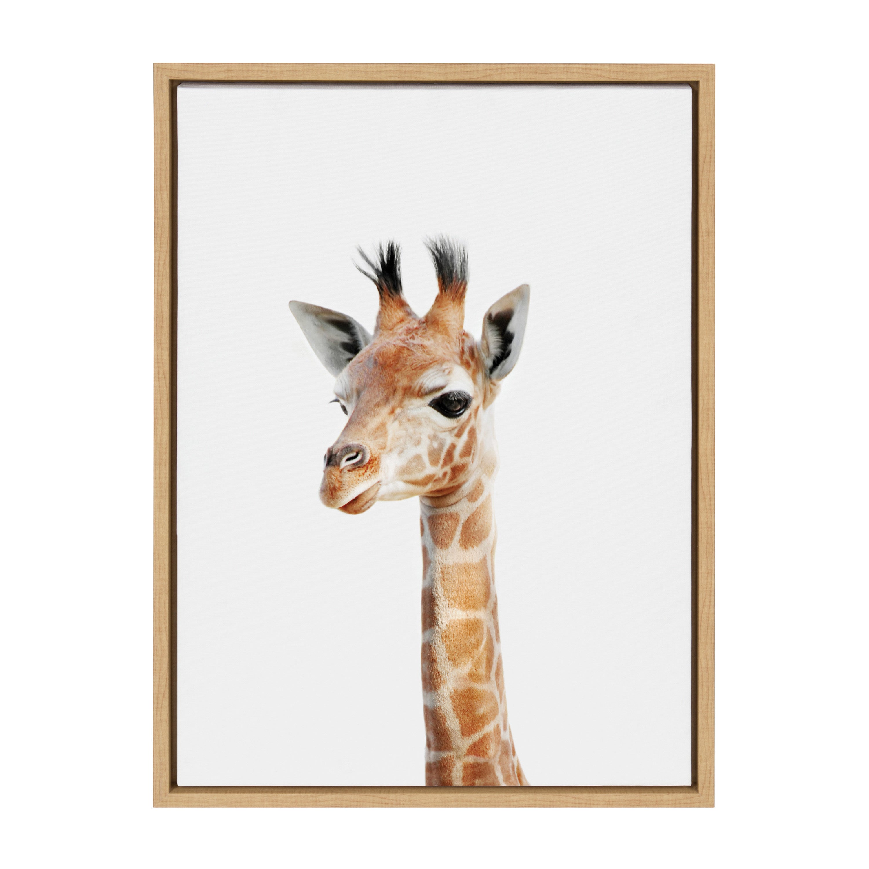 Sylvie Baby Giraffe Framed Canvas by Amy Peterson