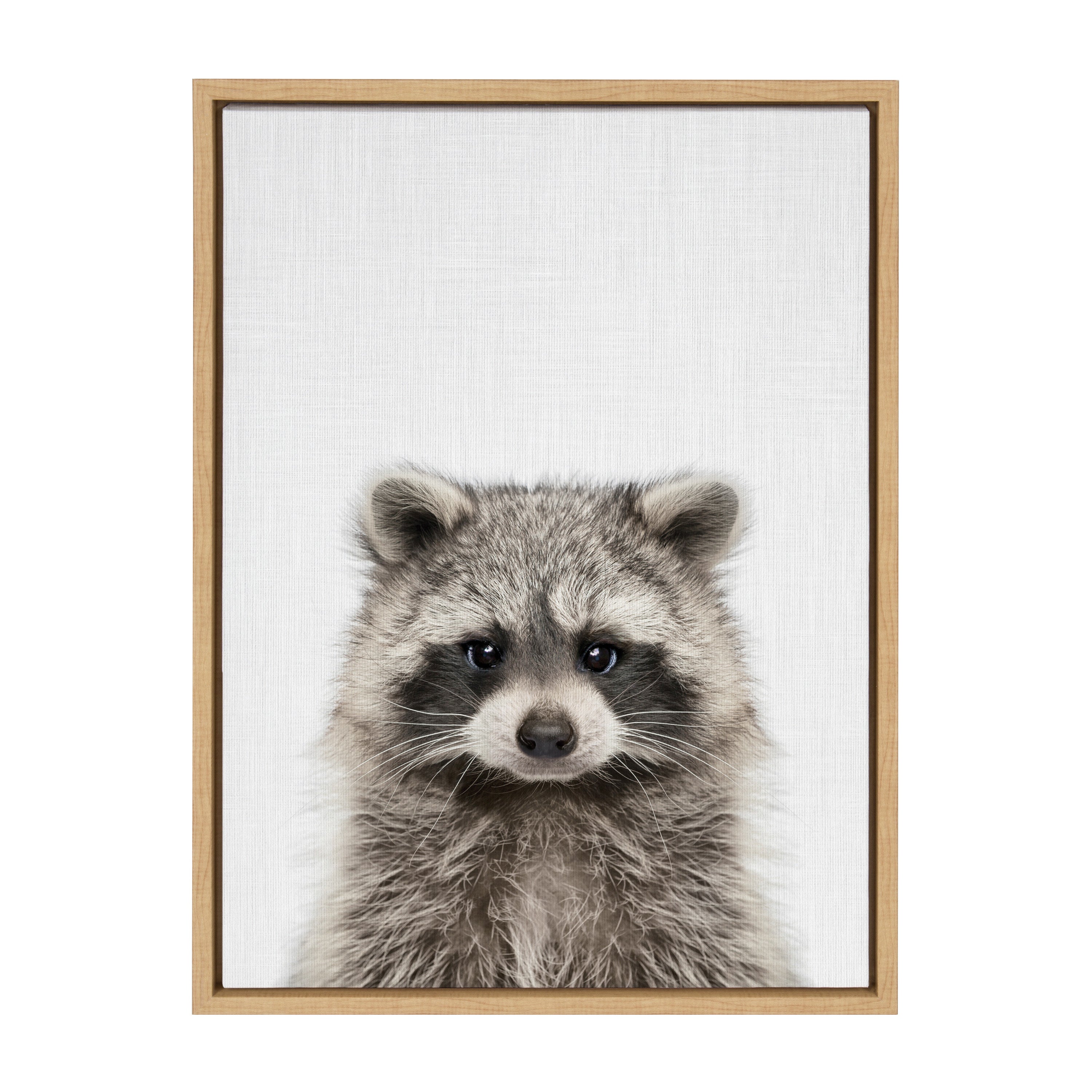 Sylvie Raccoon Color Framed Canvas by Simon Te of Tai Prints
