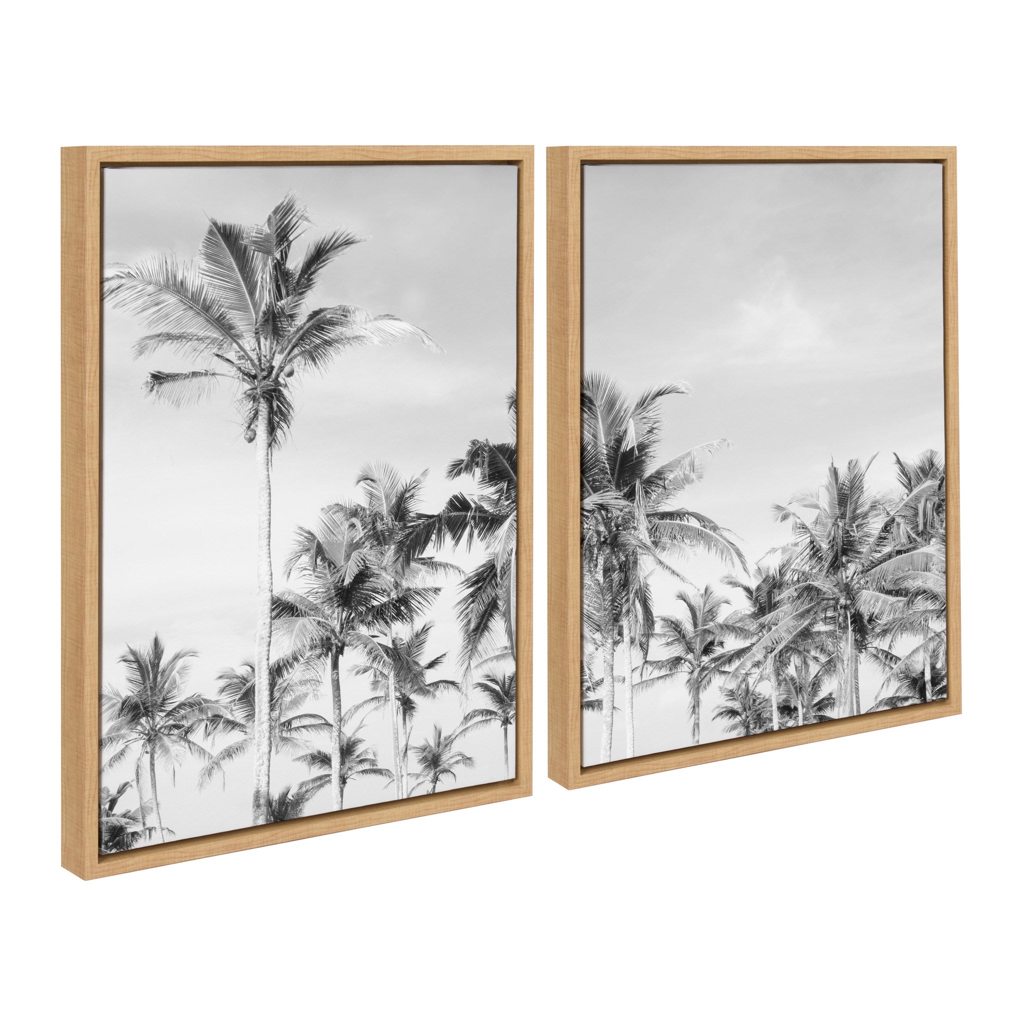 Sylvie Coastal Coconut Palm Tree Beach BW Framed Canvas Set by The Creative Bunch Studio